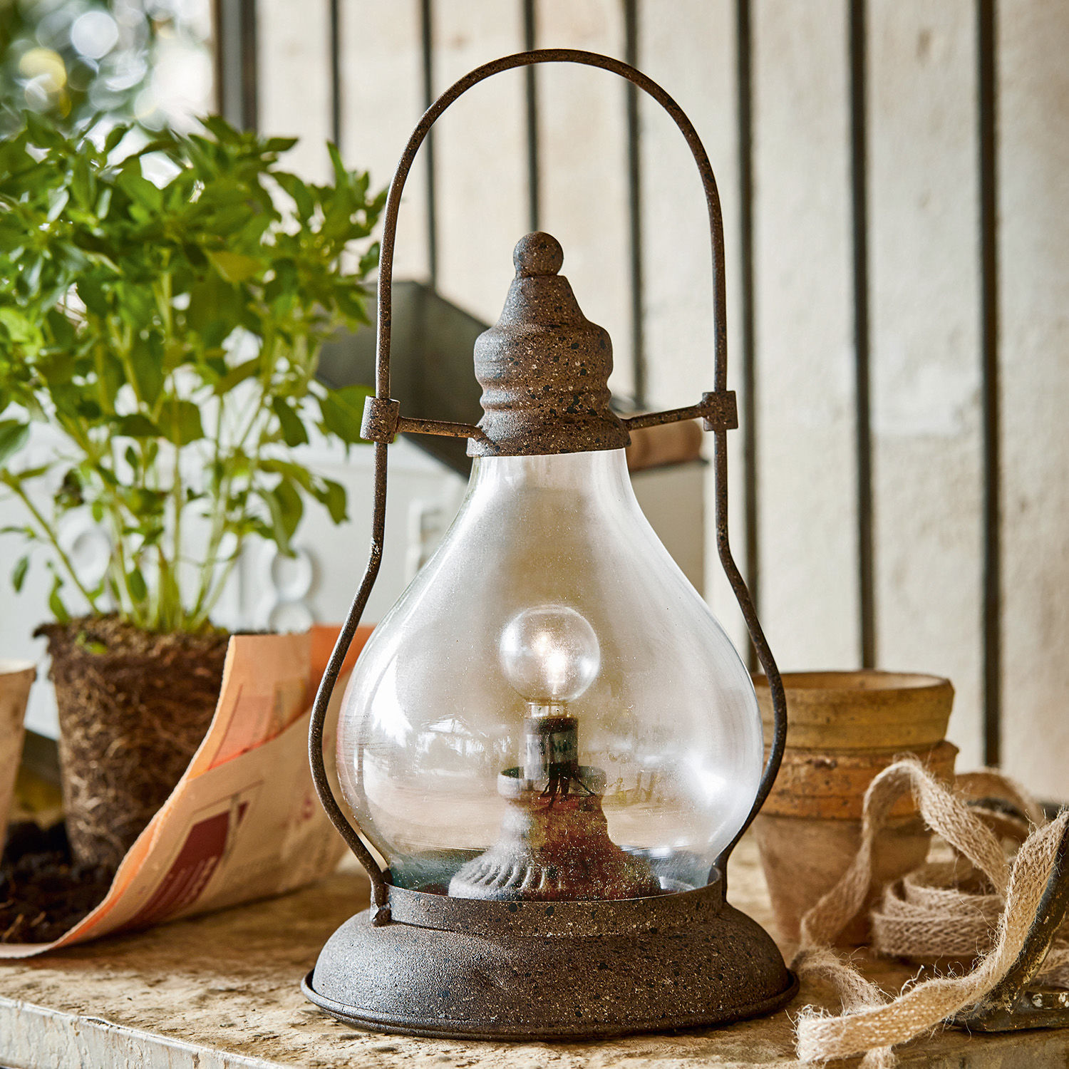 Farolillo LED Cortney Lámpara rústica de metal con pantalla de vidrio transparente y bombilla sobre mesa con planta