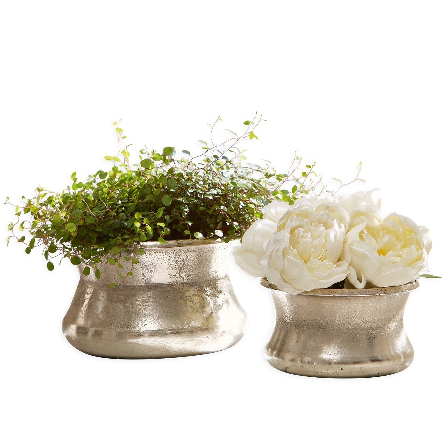 Set de 2 jarrones Riona Conjunto de dos macetas metálicas plateadas con plantas verdes y flores blancas para decoración interior