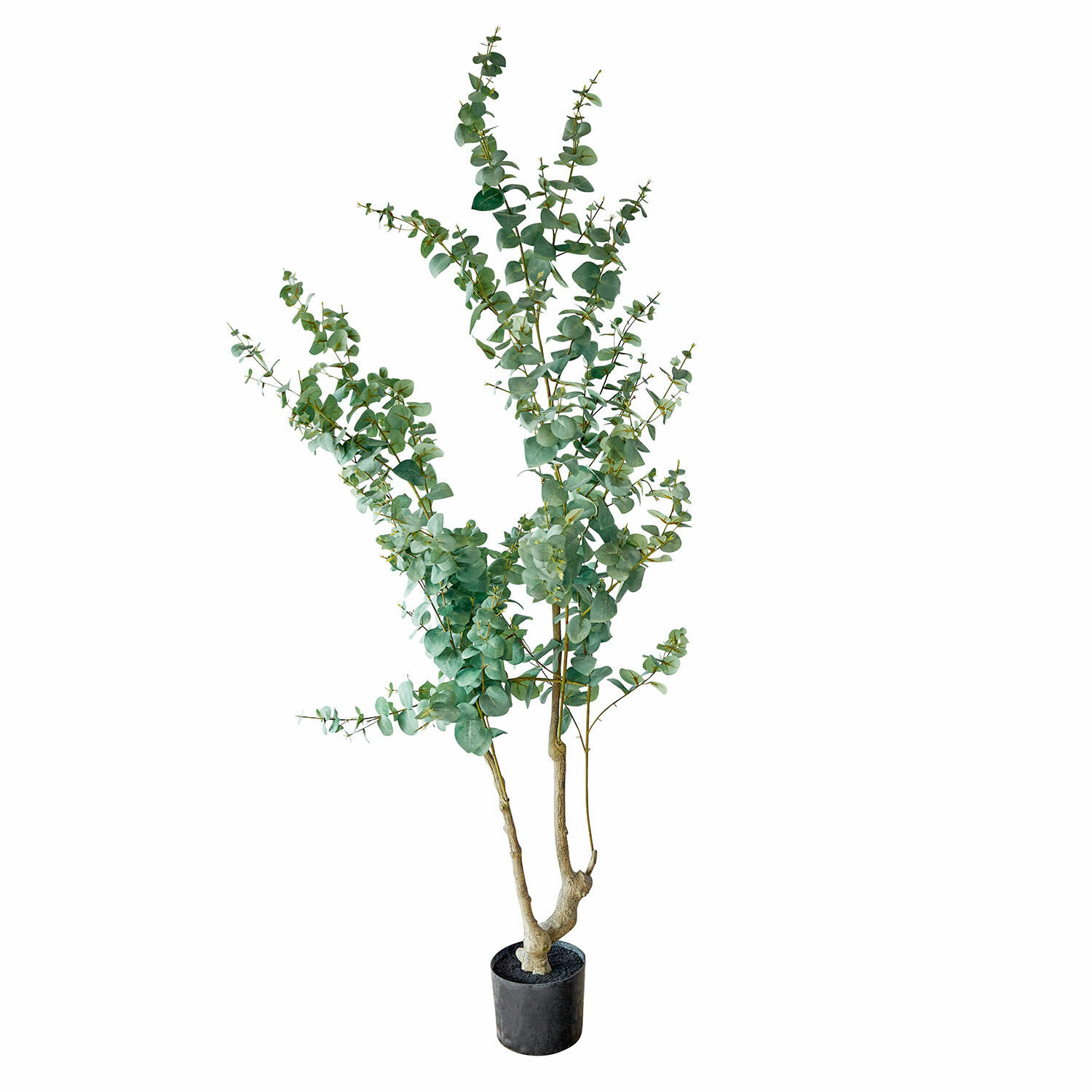 Planta decorativa en maceta Dorevi Árbol artificial de eucalipto en maceta negra con hojas verdes para decoración interior