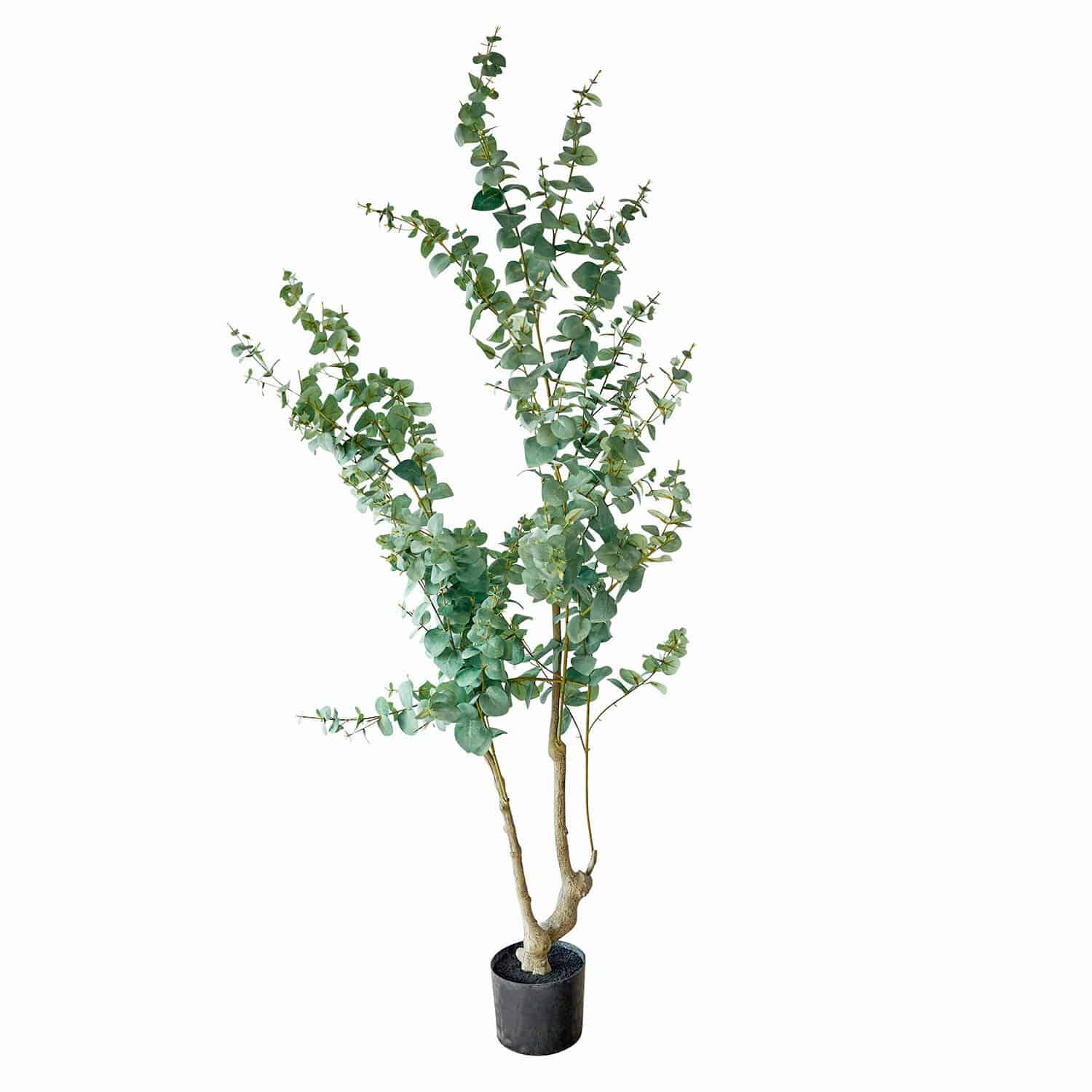 Planta decorativa en maceta Dorevi Árbol artificial de eucalipto en maceta negra con hojas verdes para decoración interior
