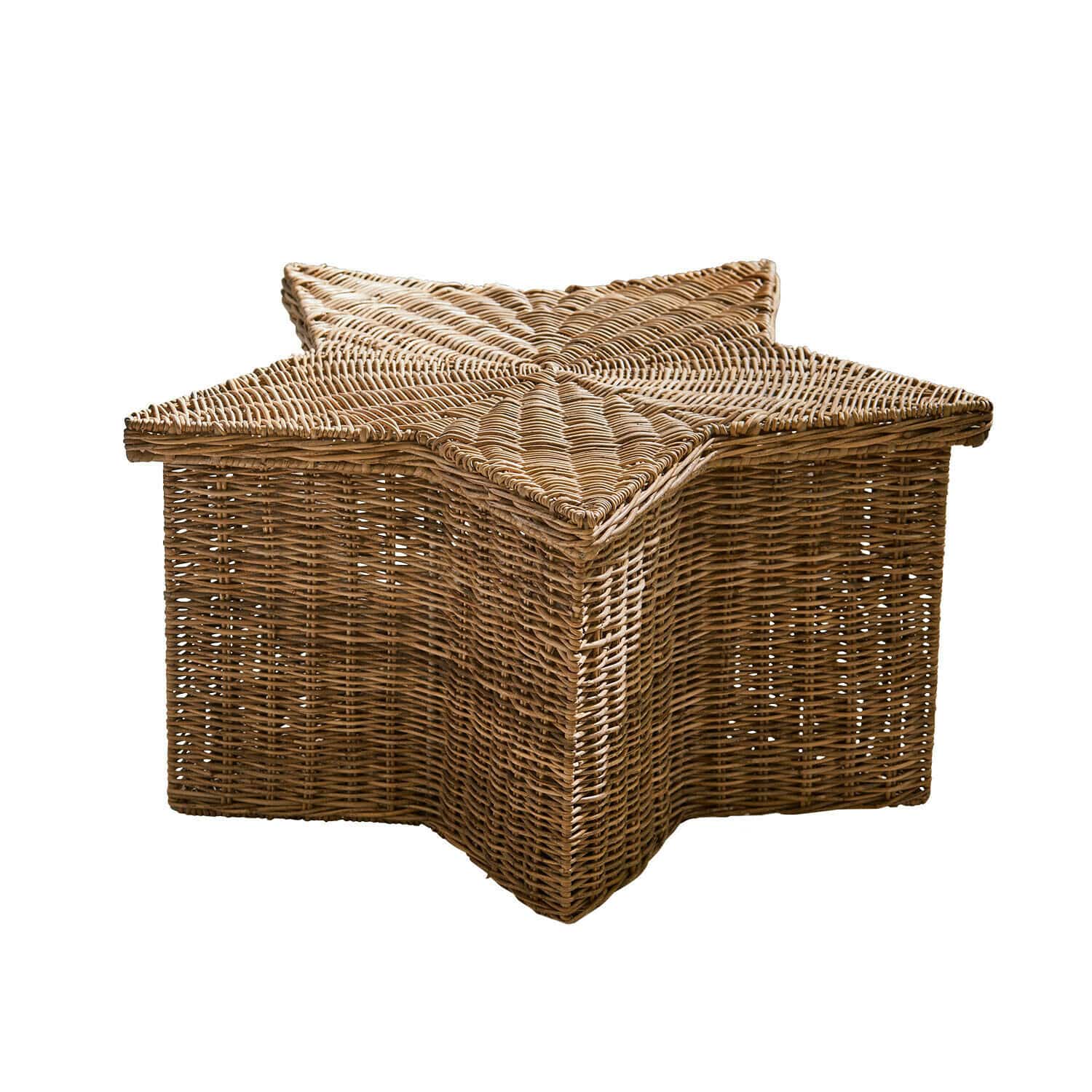 Cesta Rivolina
