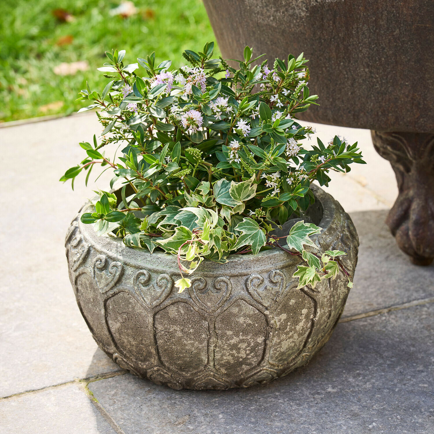 Maceta redonda de piedra gris con plantas verdes y flores blancas en terraza de piedra
