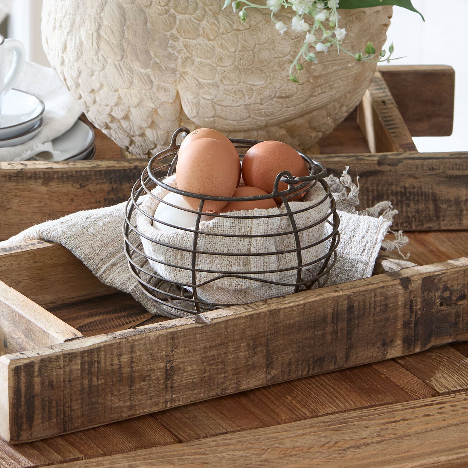 Cesta Hollistone