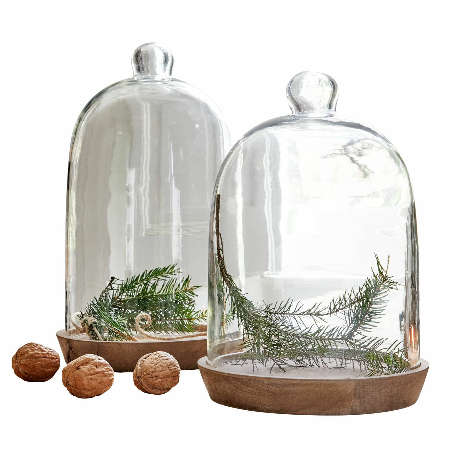 Set de 2 campanas de cristal con plato New Hampshire