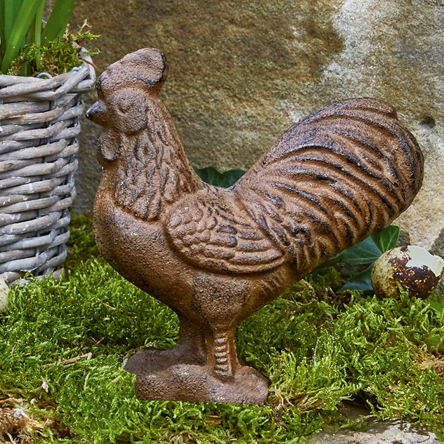 Gallo Tillroy