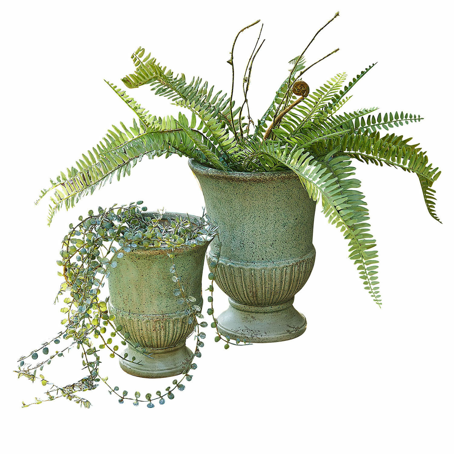 Set de 2 ánforas Jolivaux Conjunto de dos macetas de cerámica verde con helechos y suculentas para decoración interior