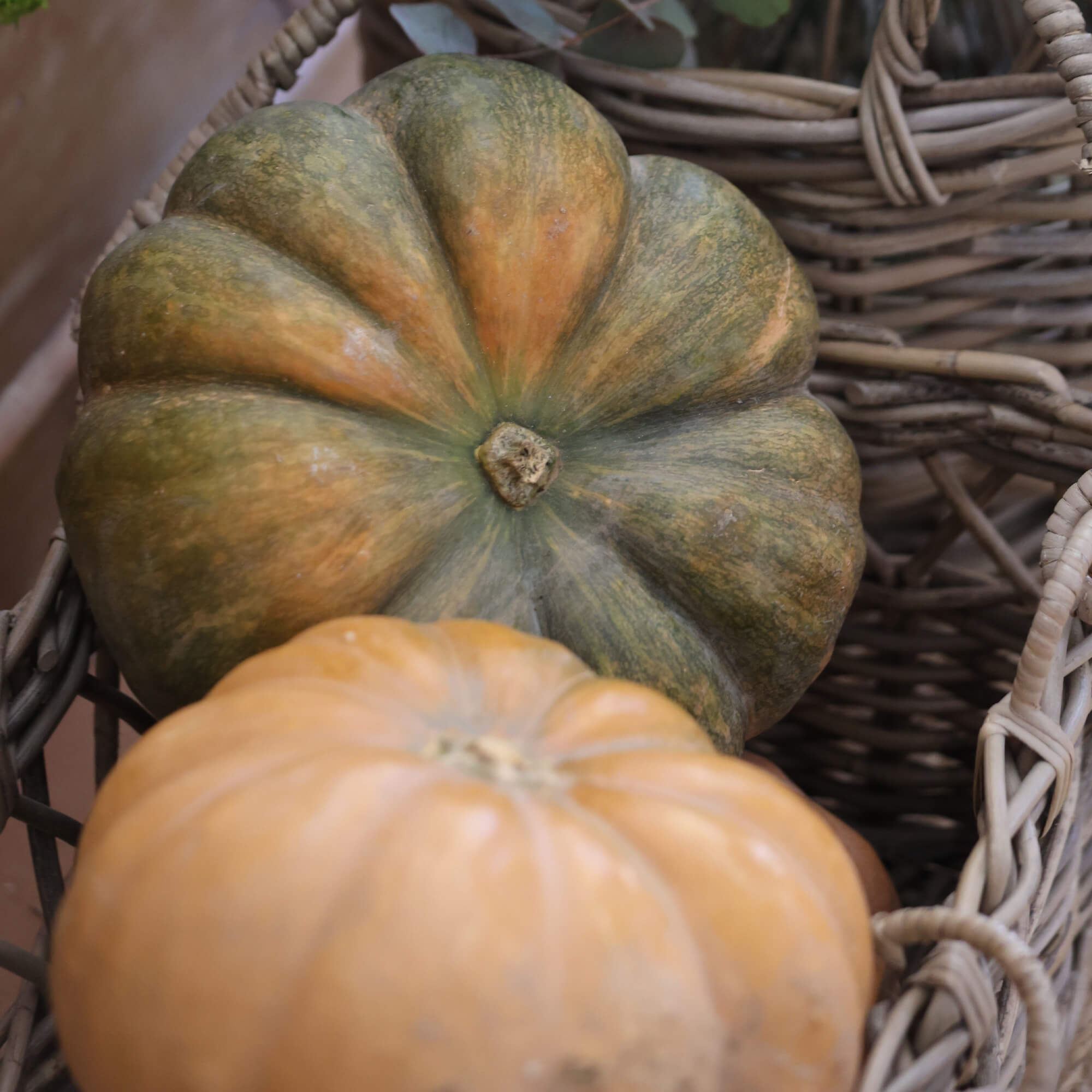 Dos calabazas en una cesta de mimbre, verde-naranja y naranja claro, decoración otoñal