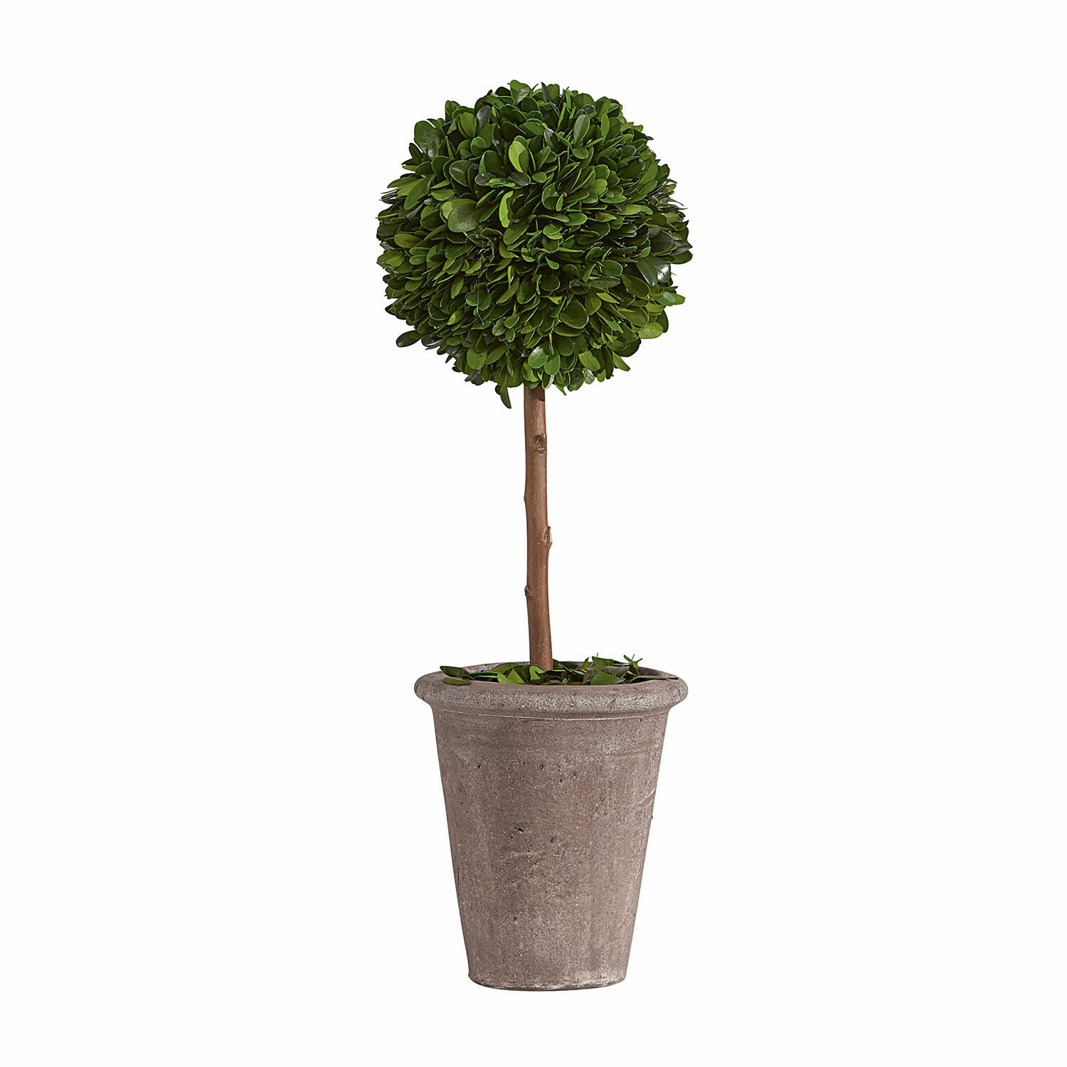 Árbol decorativo Aube Árbol artificial de boj en maceta gris de plástico, decoración para interiores y exteriores
