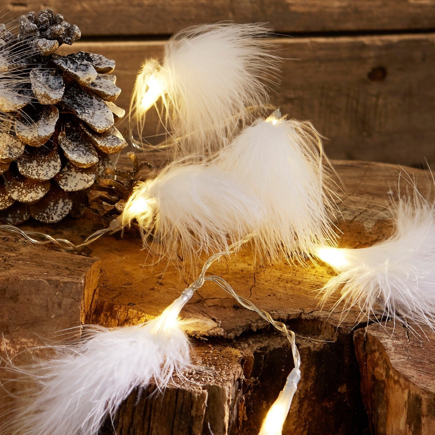 Set de 2 luces de hadas Forres