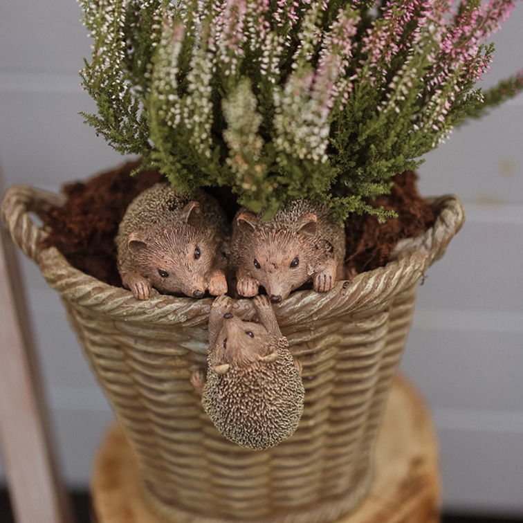 Maceta de resina imitación mimbre con decoración de tres erizos y brezo con flores verdes y rosas