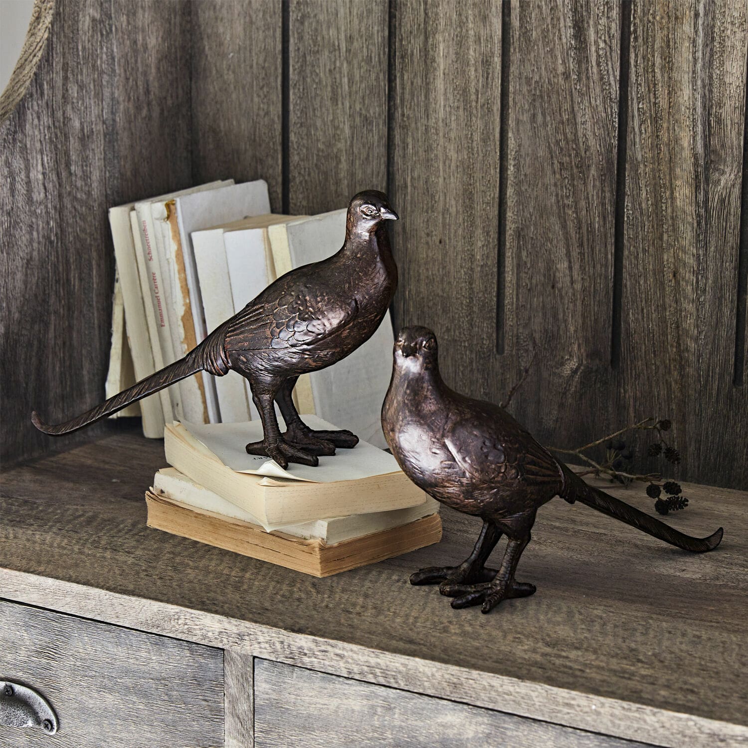 Set de 2 pájaros decorativos Roddy