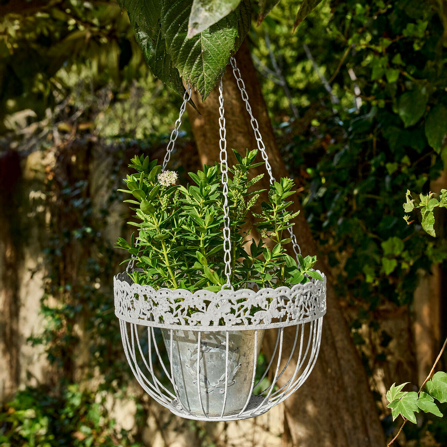 Set de 2 cestas colgantes Iveralia