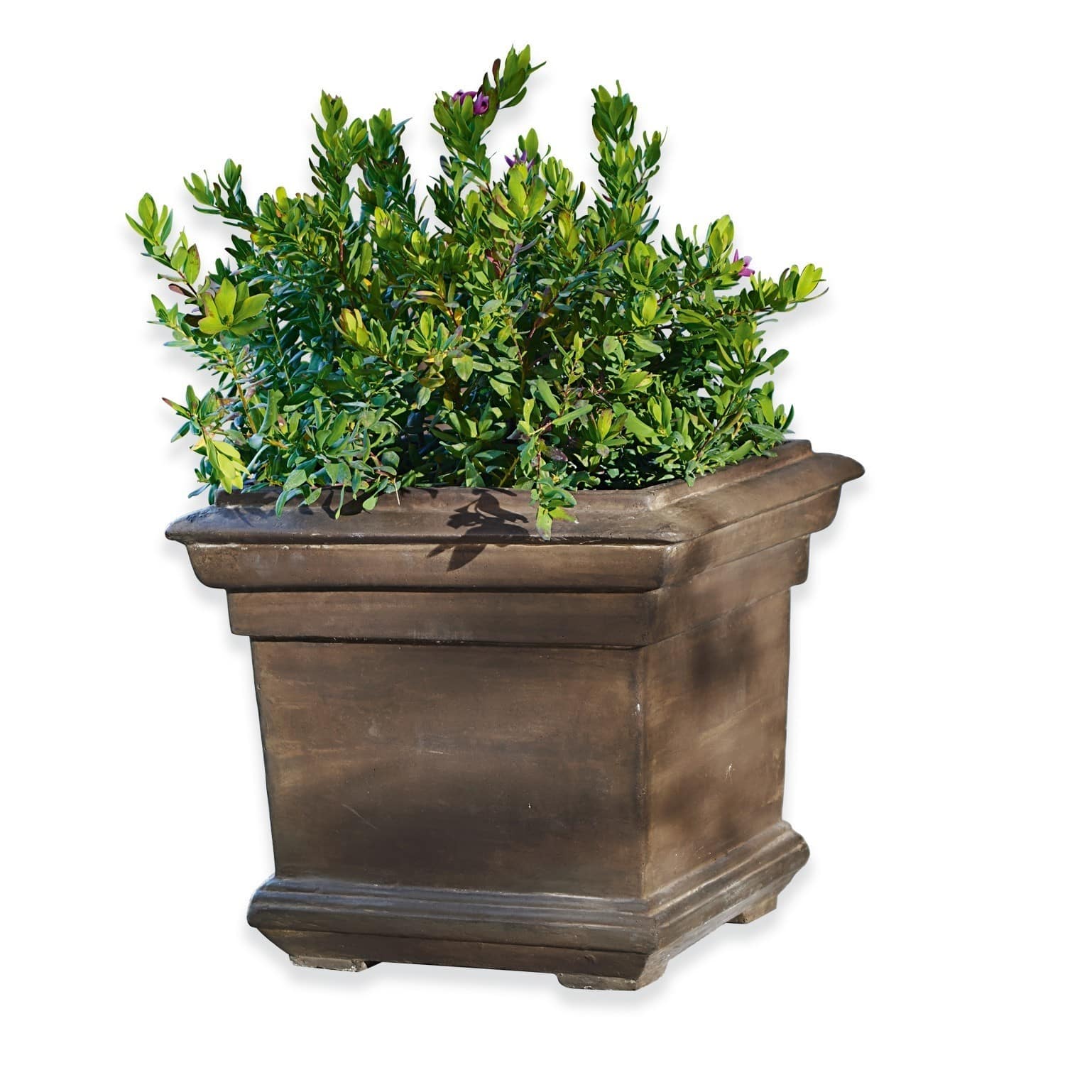 Jardinera Magnum
