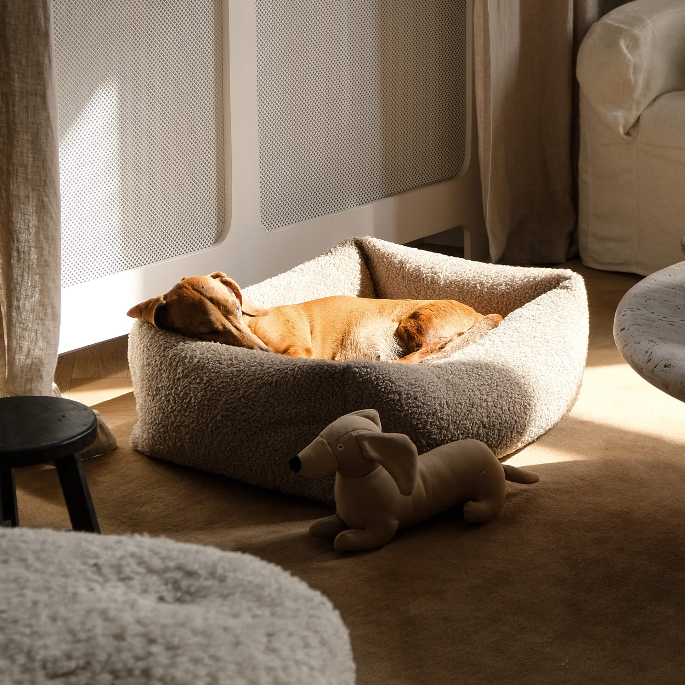 Perro marrón durmiendo en una cama para perros beige de material suave en habitación luminosa
