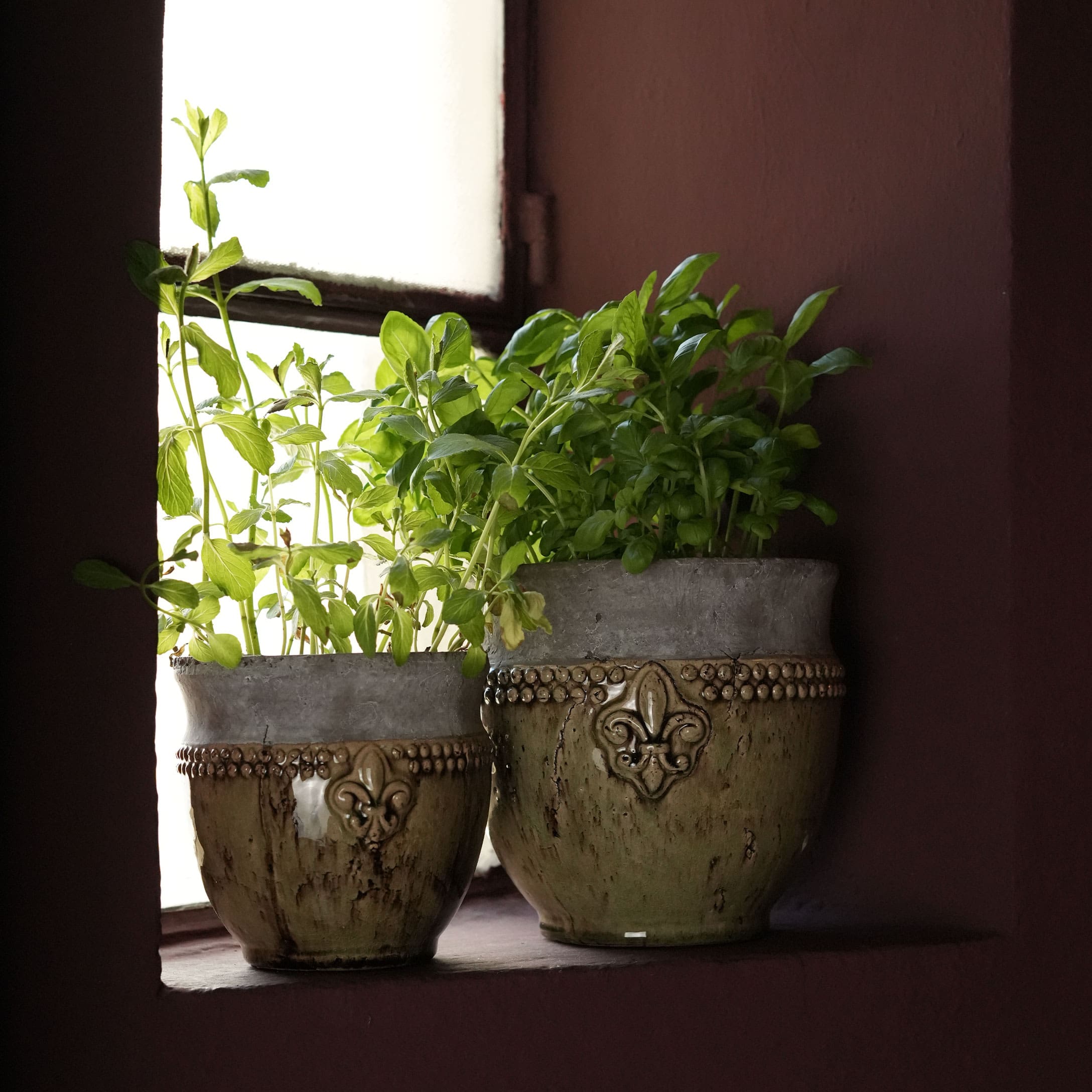 Dos macetas de cerámica con plantas verdes en el alféizar de la ventana, diseño decorativo
