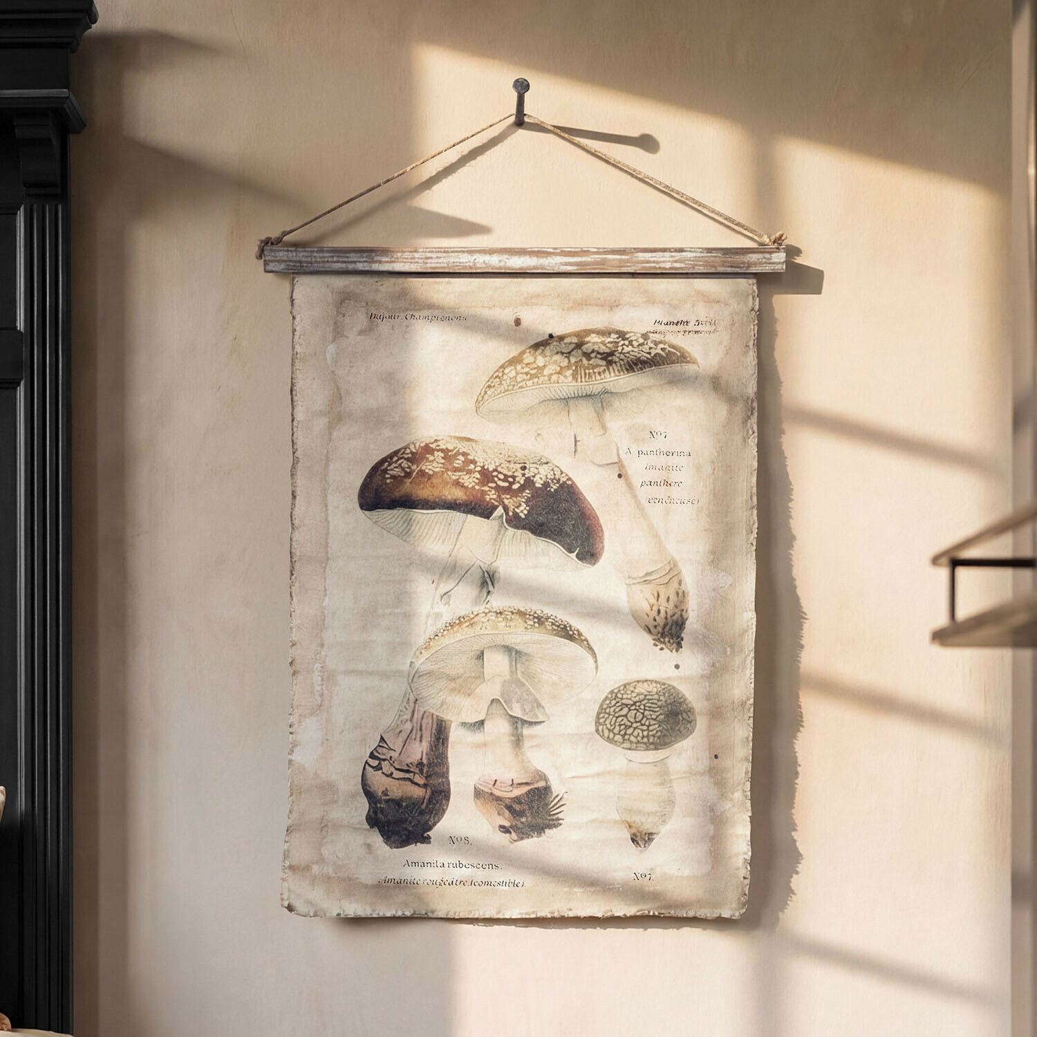 Cuadro Rynmor Cartel de tela con ilustración de setas, colgado con cuerda y barra de madera