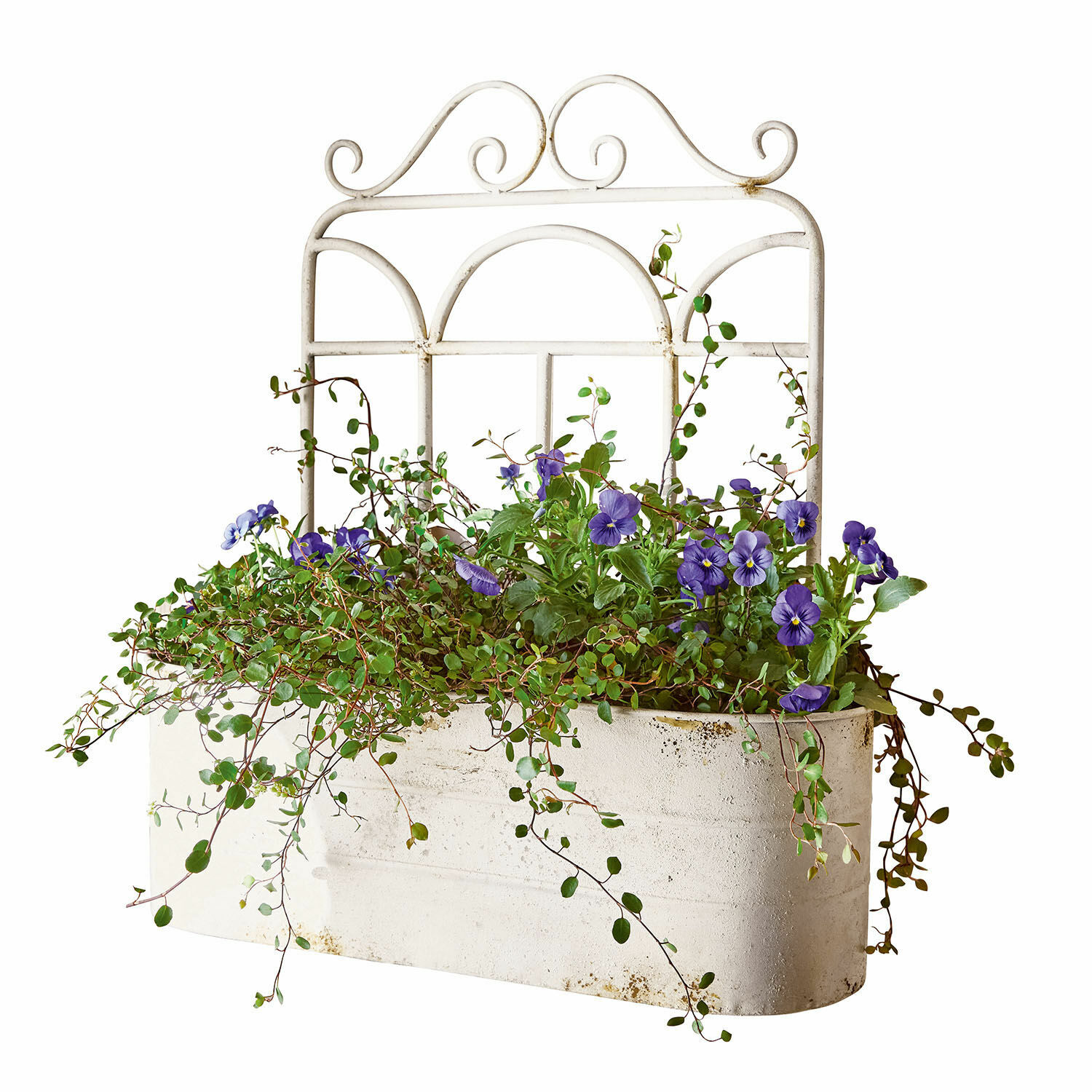 Jardinera Marwin Jardinera metálica blanca con flores moradas y hojas verdes para decoración de jardín