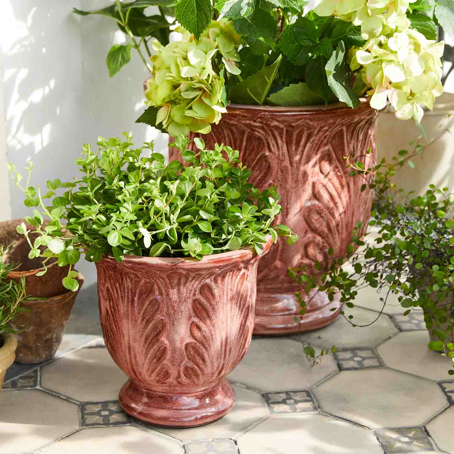 Macetas de cerámica color óxido con plantas verdes sobre suelo claro de baldosas, diseño decorativo