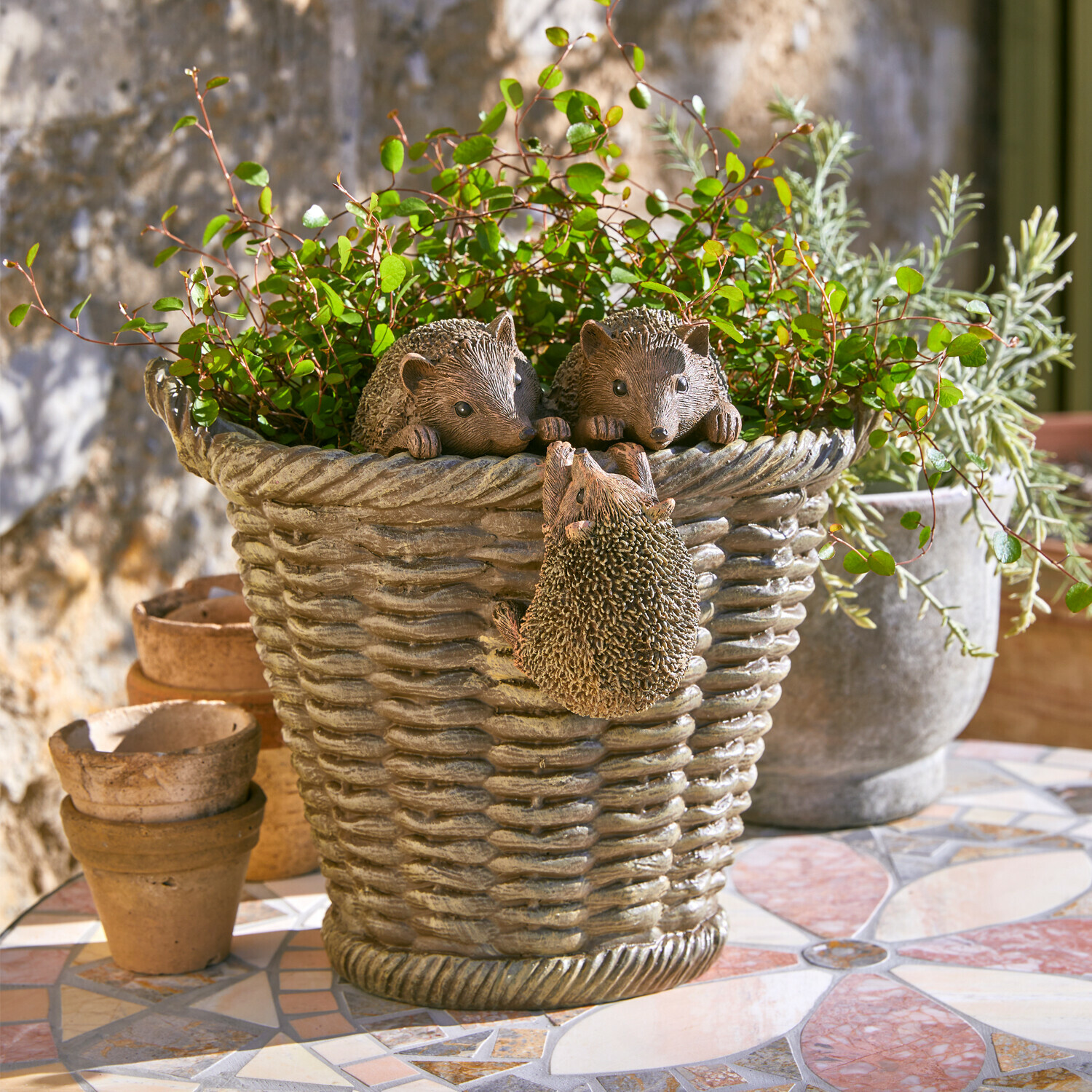 Maceta Gabriel Maceta de resina gris con decoración de erizos y plantas verdes en terraza con mosaico