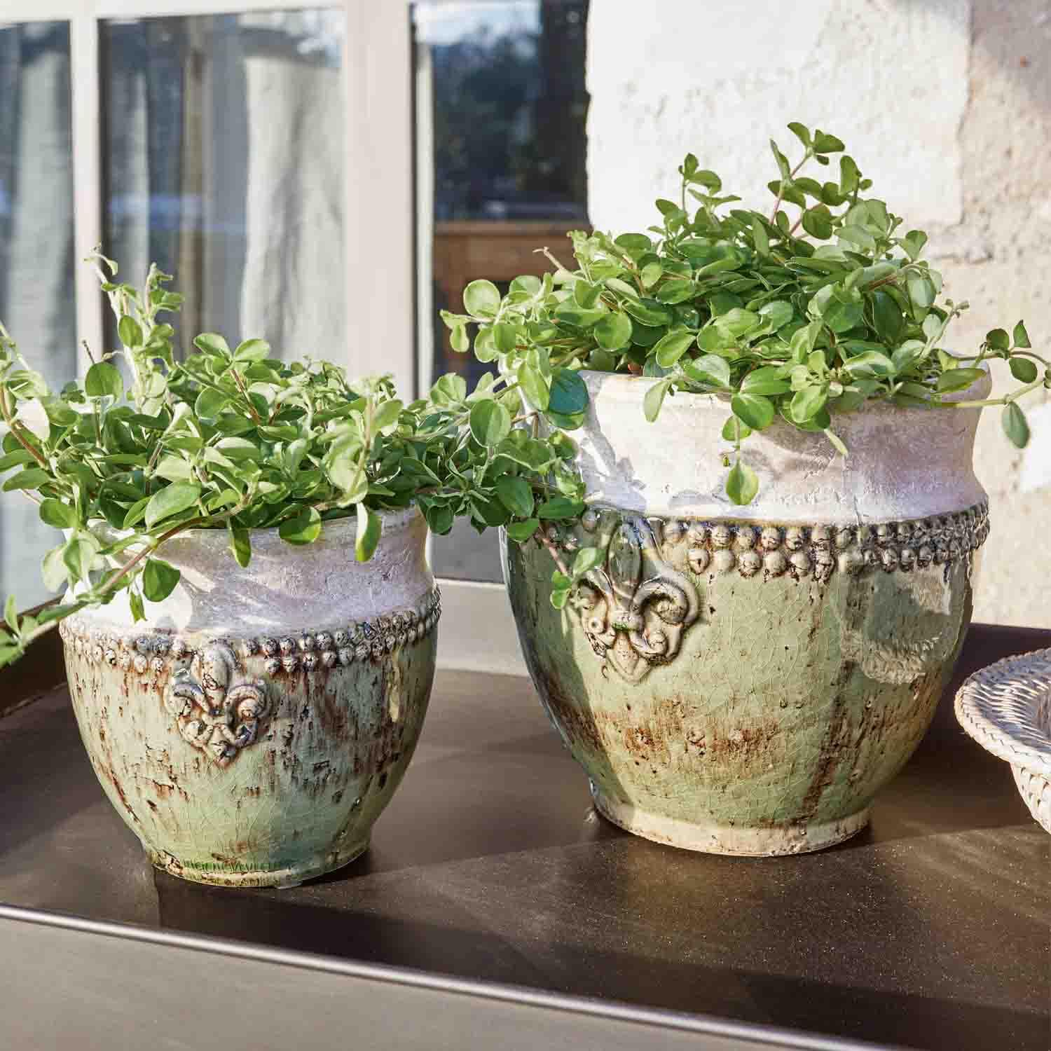 Dos macetas de cerámica verde y blanca con plantas y detalles decorativos en mesa al sol