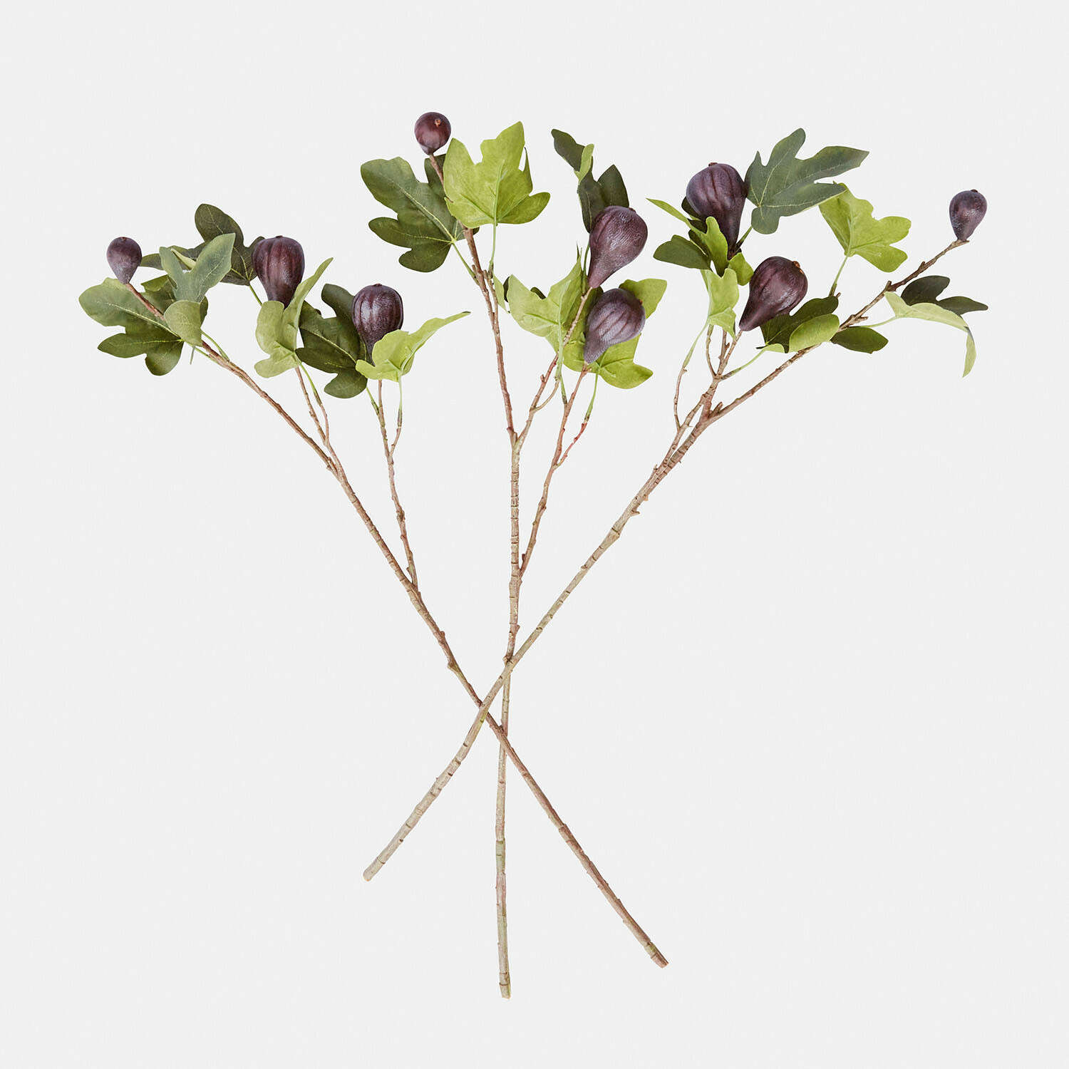 Set de 3 ramas decorativas Alverino | morado/verde | Alto/Ancho aprox. 73/50 cm Set de 3 ramas decorativas Alverino | morado/verde | Alto/Ancho aprox. 73/50 cm