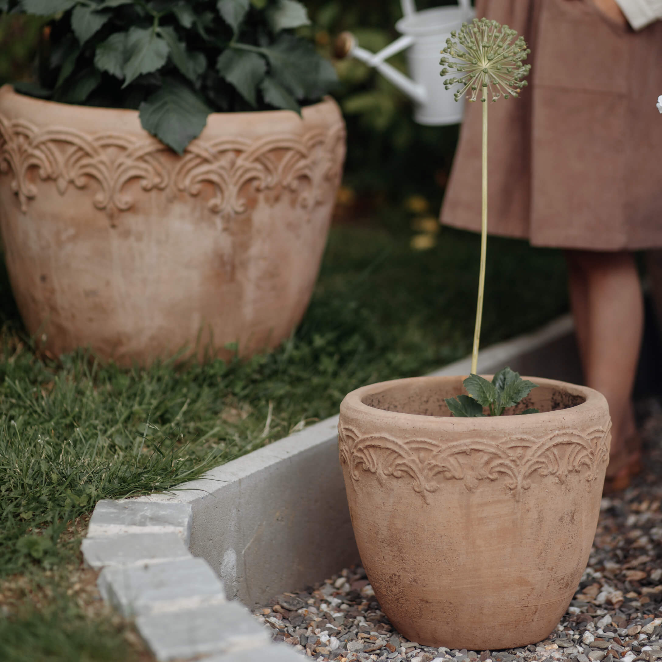 Maceta de terracota con diseño decorativo en color beige natural en jardín exterior