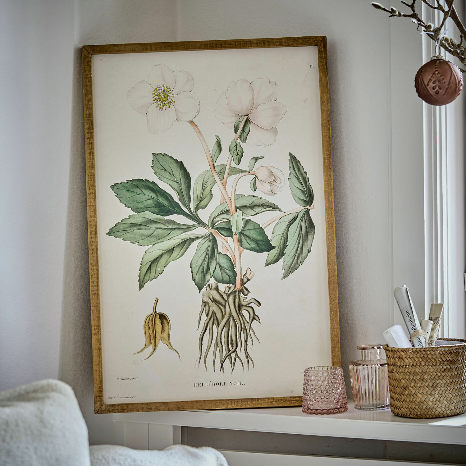 Cuadro Hellebore