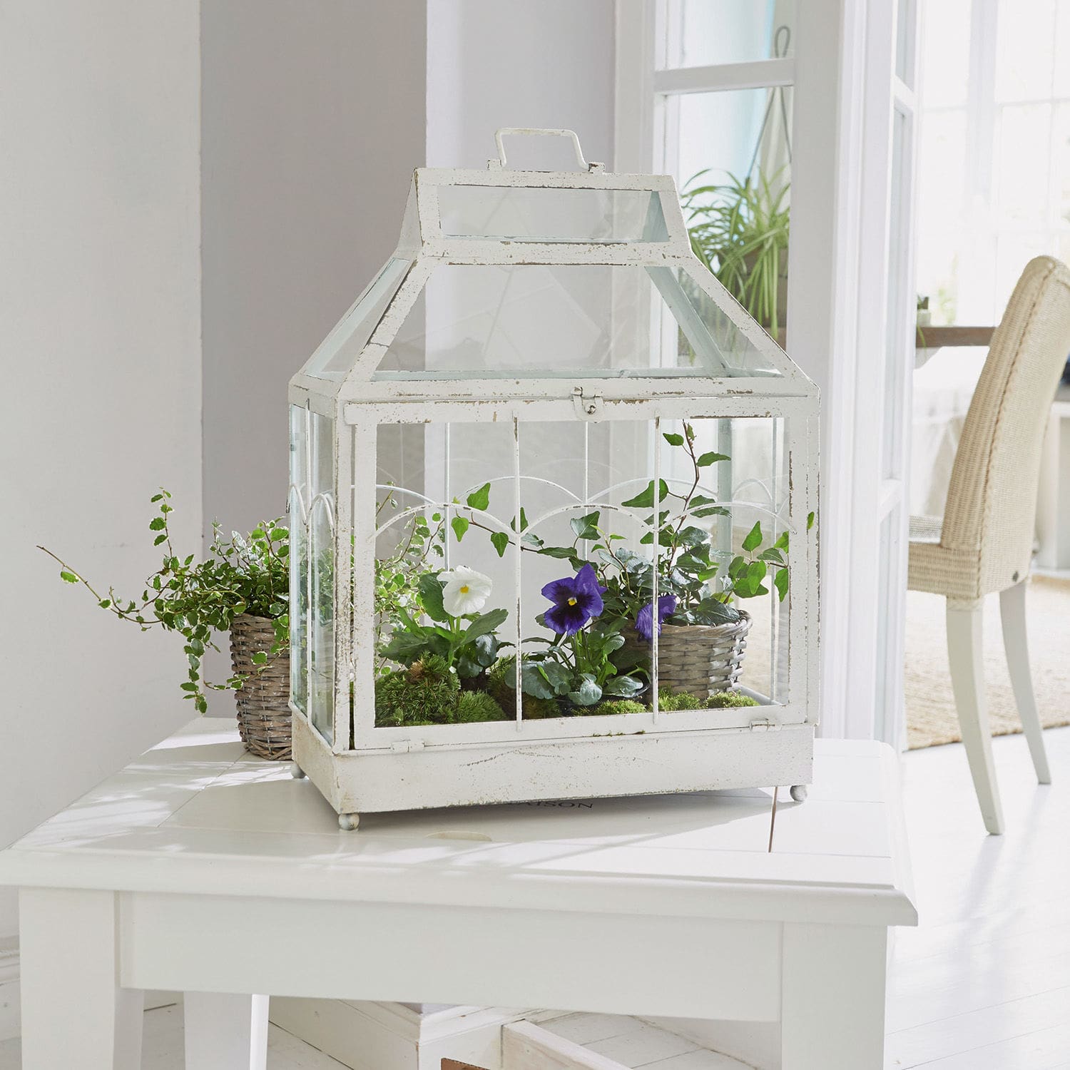 Farol Couriar Invernadero blanco de metal con plantas en maceta sobre mesa blanca en interior luminoso