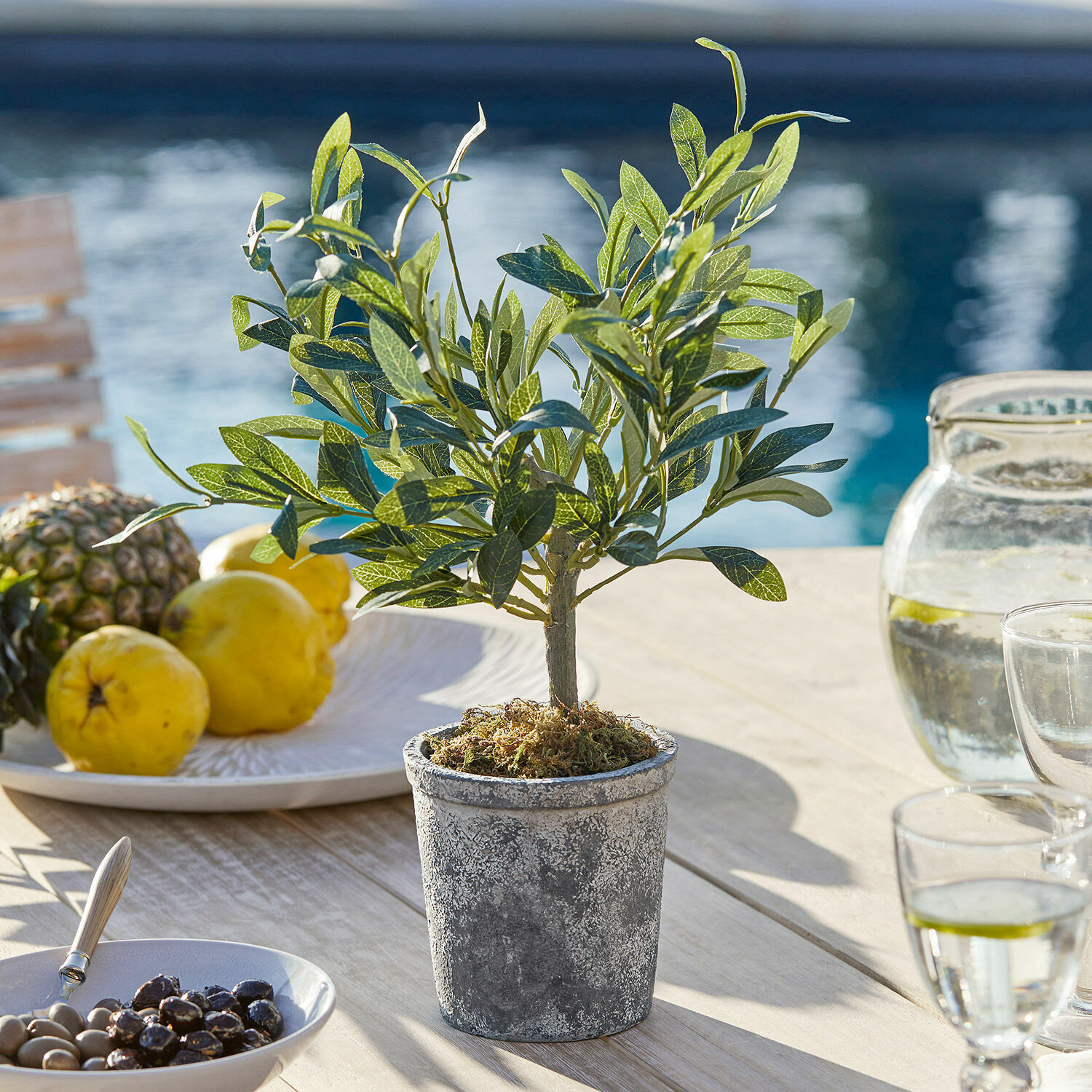 Planta decorativa Mariuccia Pequeño árbol artificial en maceta de cemento gris sobre mesa de madera con frutas y agua