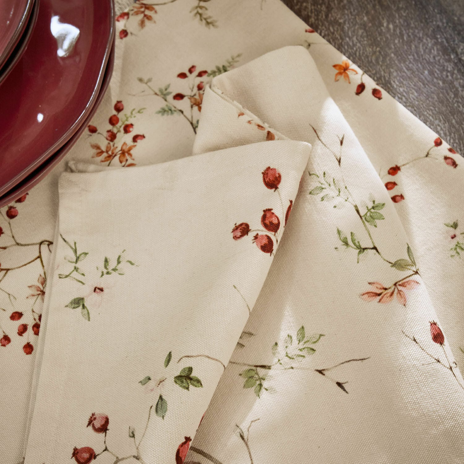 Set de 2 paños de cocina Mauriac