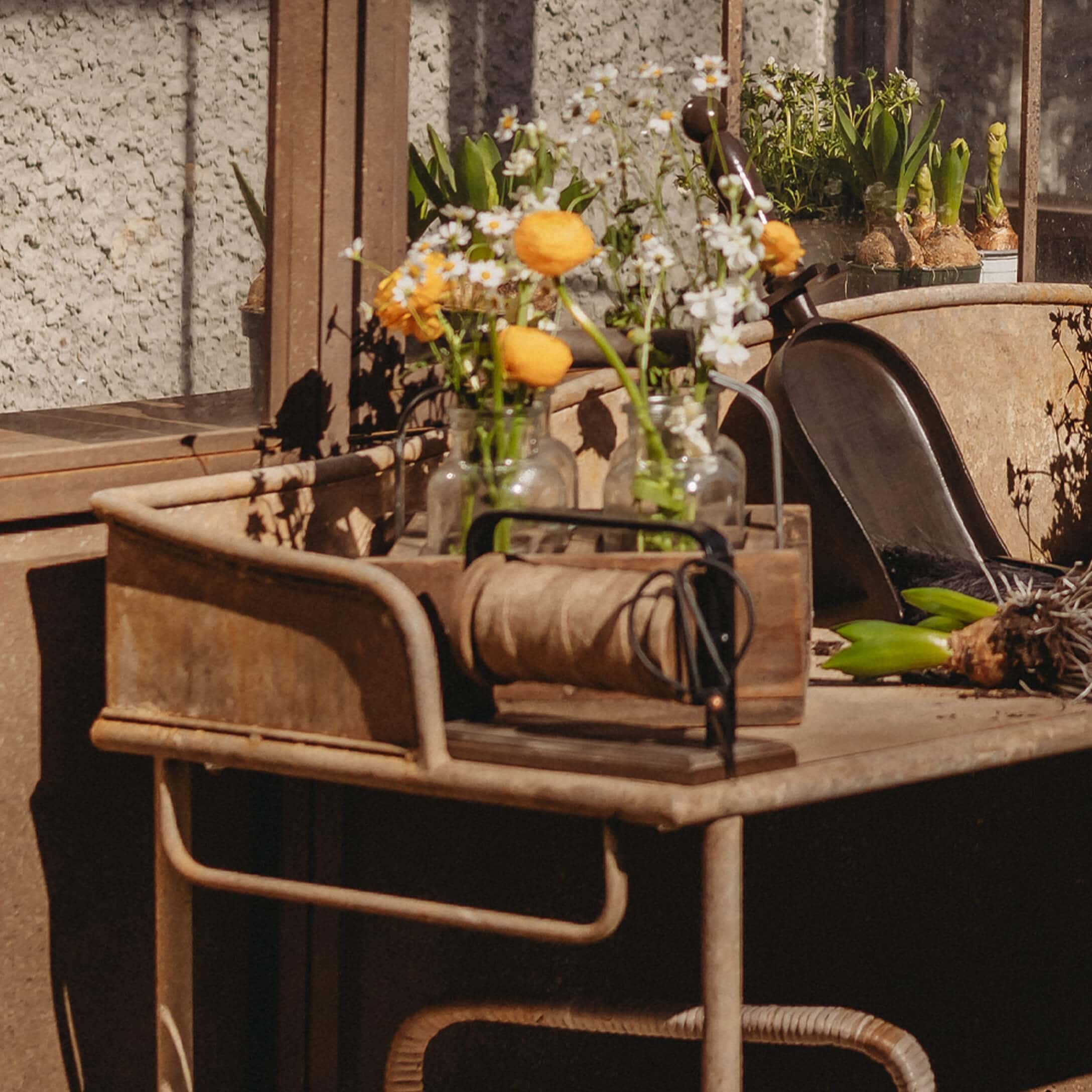 Mesa de jardín metálica con flores amarillas en jarrones de vidrio y herramientas de jardinería