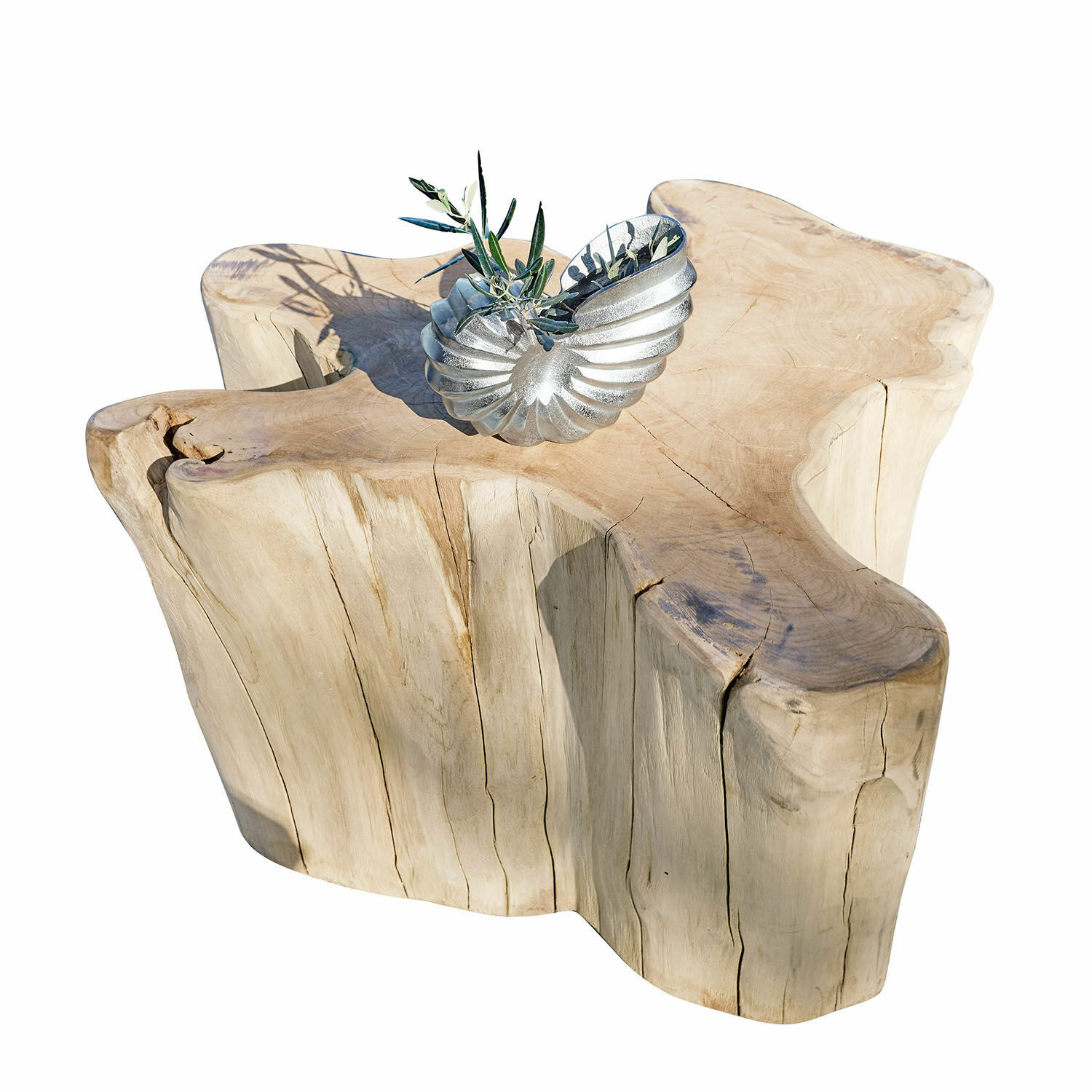 Mesa de centro Dorlancourt Mesa de centro de madera maciza color natural con concha decorativa plateada encima
