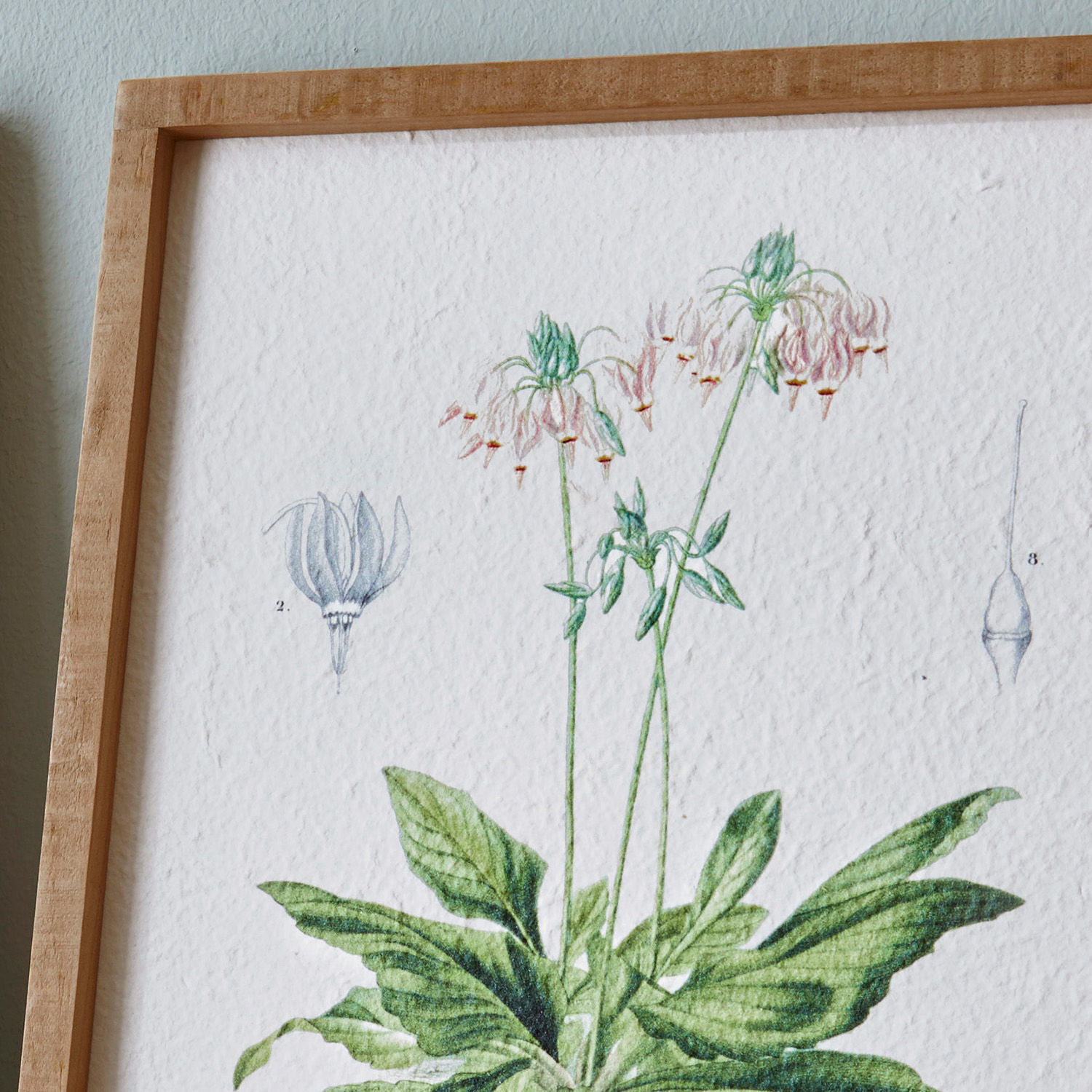 Set de 2 cuadros Botanic