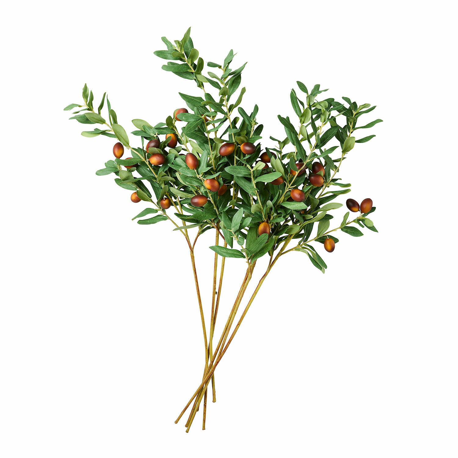 Set de 6 ramas decorativas de olivo con hojas verdes y frutos marrones para decoración