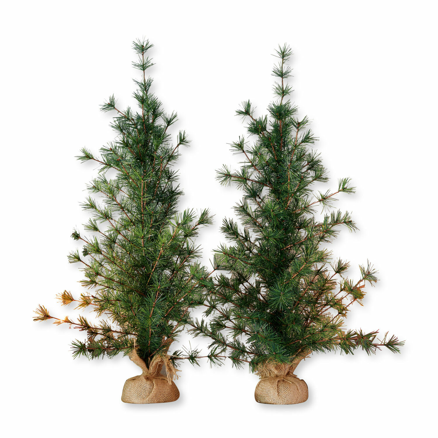 Set de 2 árboles decorativos Bohicon Dos árboles de pino artificiales verdes con base de arpillera, decoración navideña natural