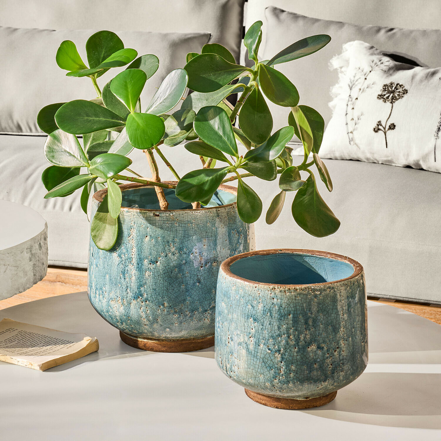 Set de 2 maceteros Mavoreta Dos macetas de cerámica azul craquelada, una con planta verde, sobre mesa blanca en salón moderno