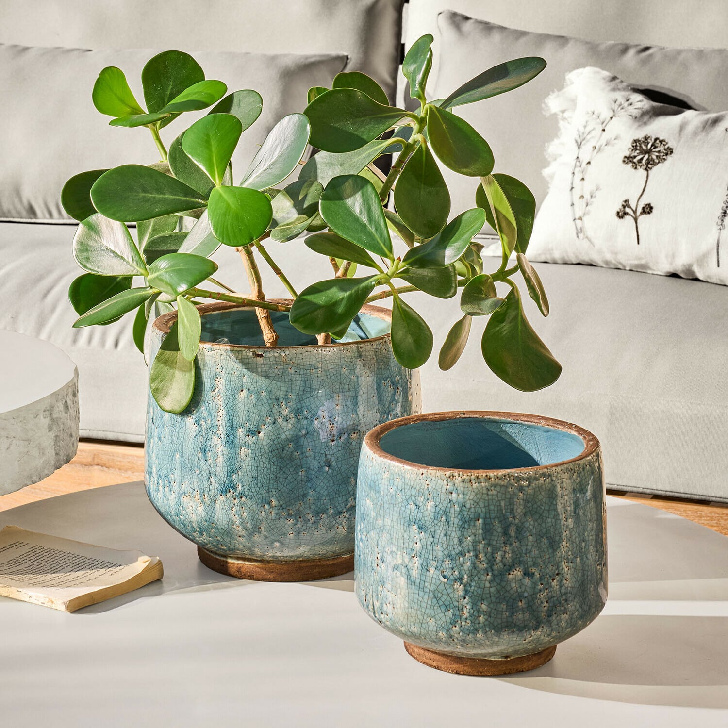 Set de 2 maceteros Mavoreta Dos macetas de cerámica azul craquelada, una con planta verde, sobre mesa blanca en salón moderno