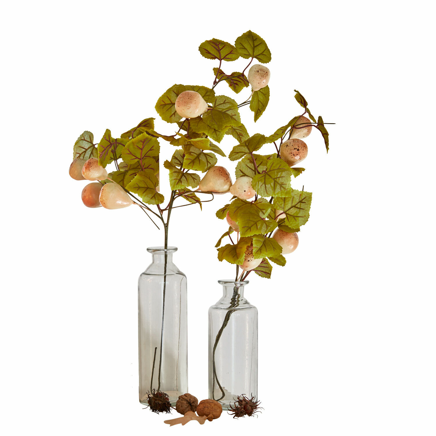 Set de 2 ramas decorativas Aidan Ramas decorativas con hojas verdes y frutos claros en jarrones de vidrio transparente