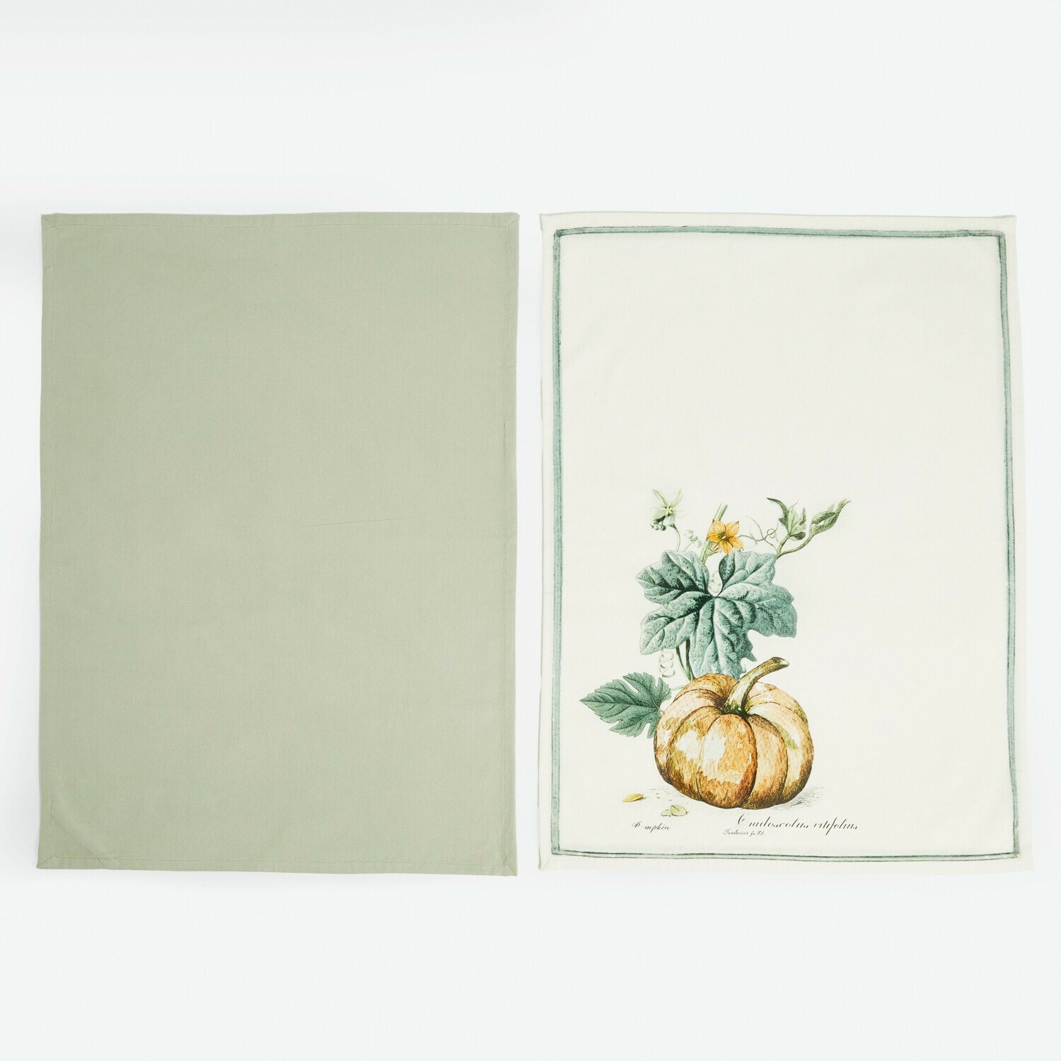 Set de 2 paños de cocina Pavolinos