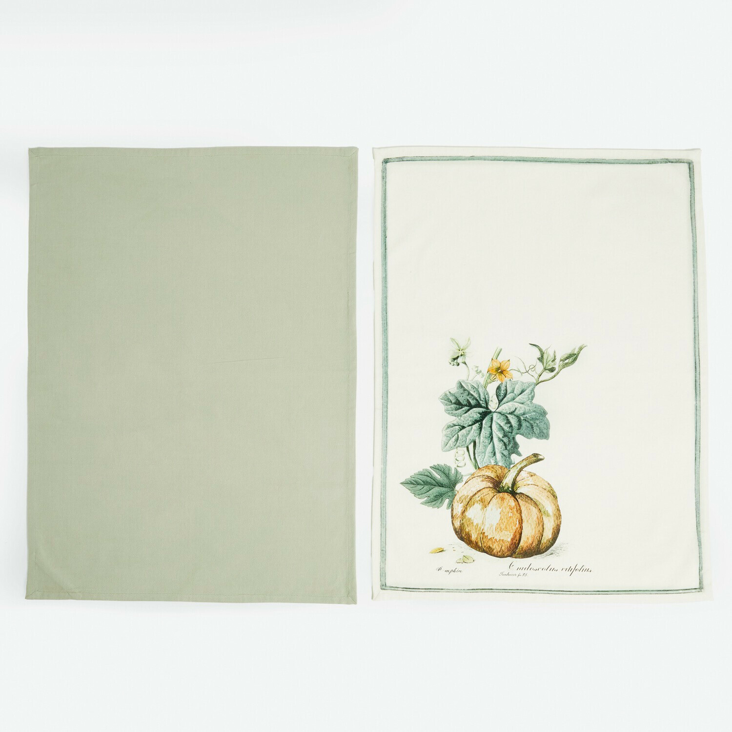 Set de 2 paños de cocina Pavolinos