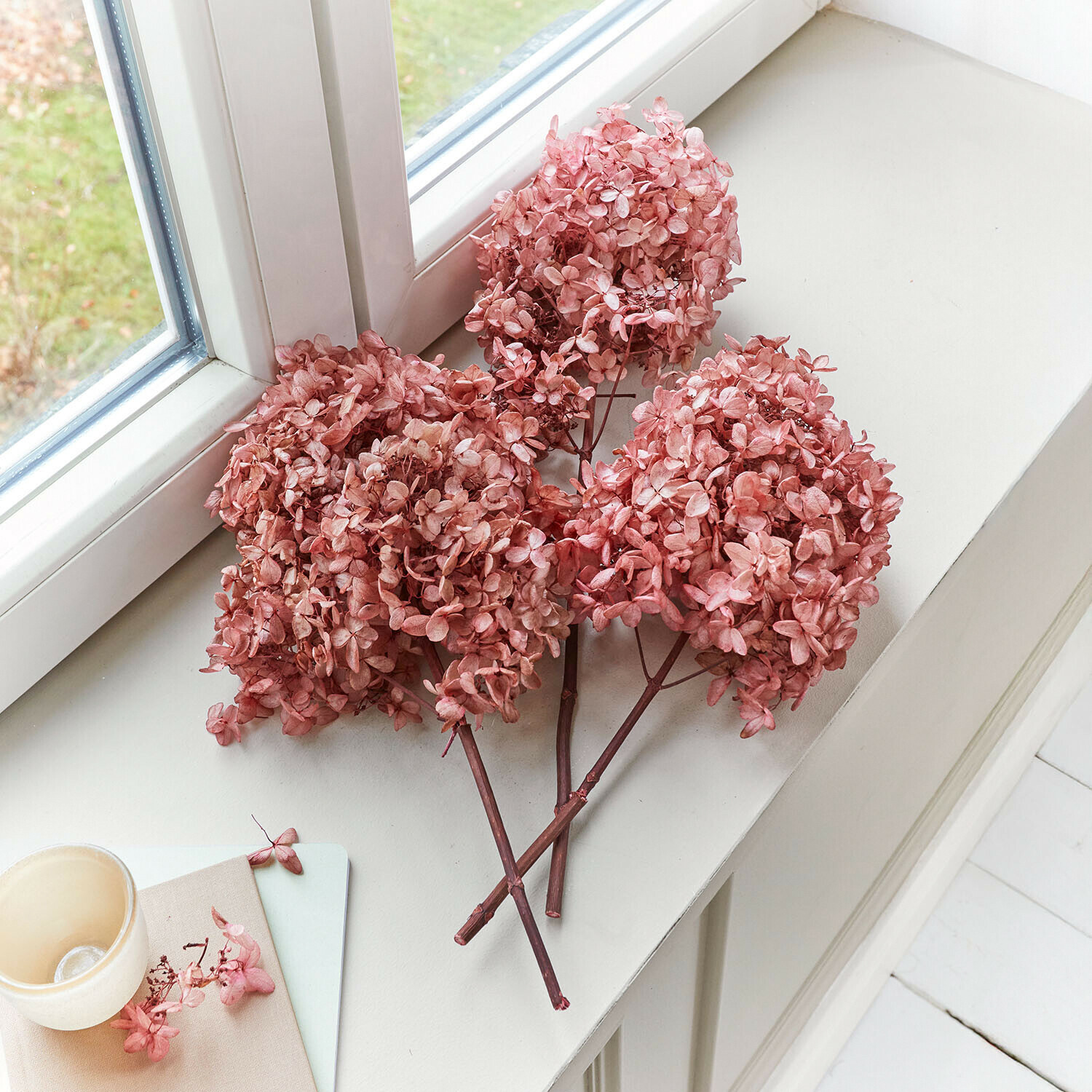 Set de 3 flores secas Amélorie Flores secas de hortensia rosa sobre un alféizar blanco para decoración de interiores