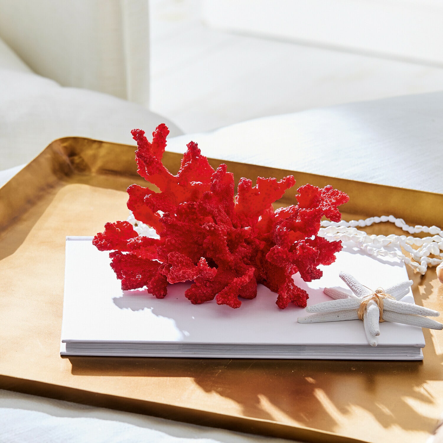 Coral decorativo Reddish