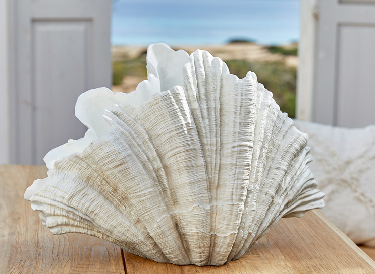 Decoración de concha blanca sobre mesa de madera en ambiente de estilo marítimo