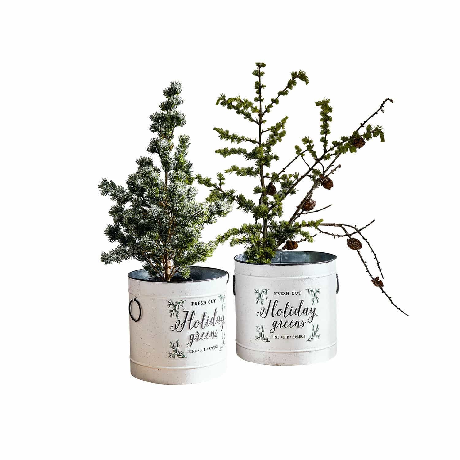 Set de 2 macetas Holiday Greens