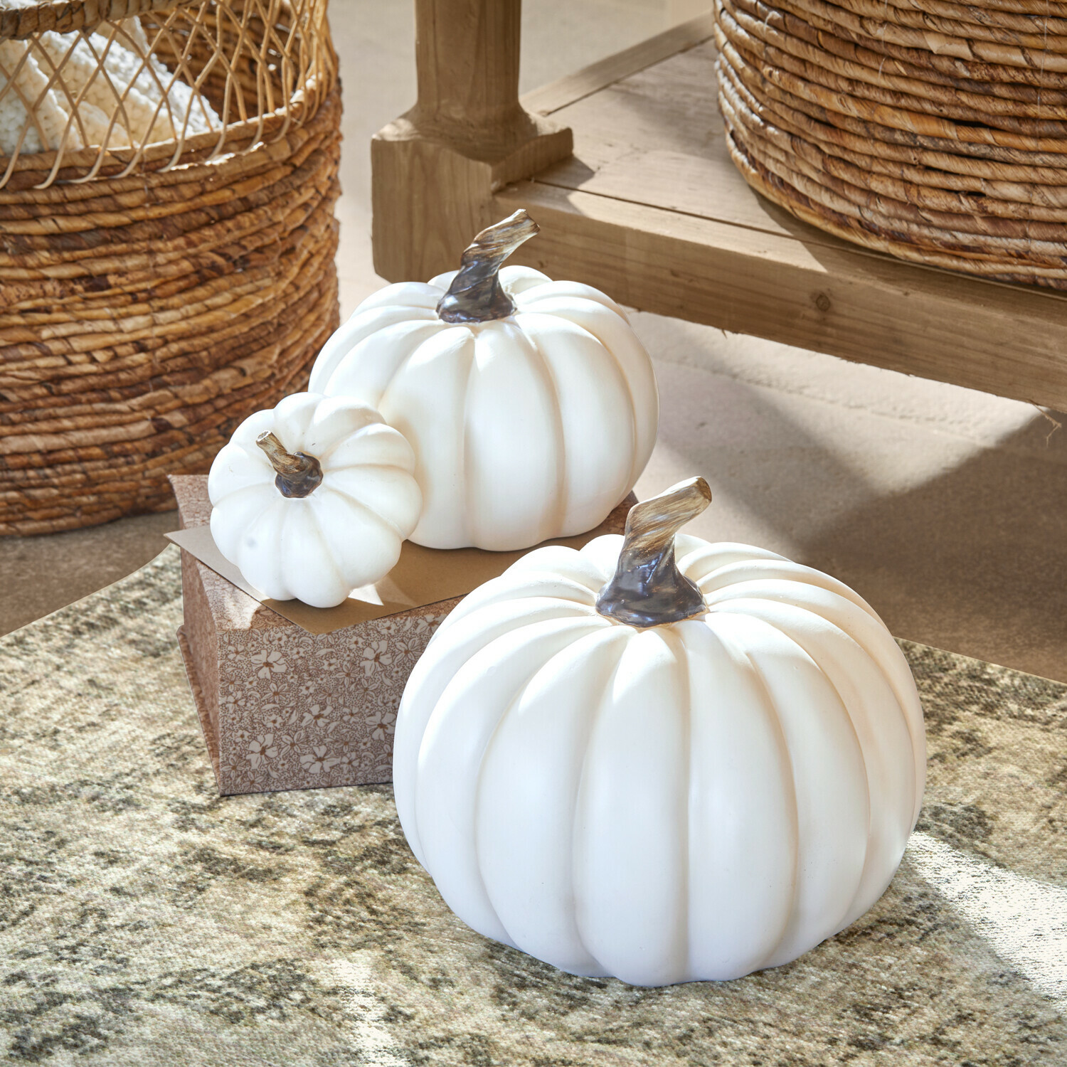Set de 3 calabazas Elrik