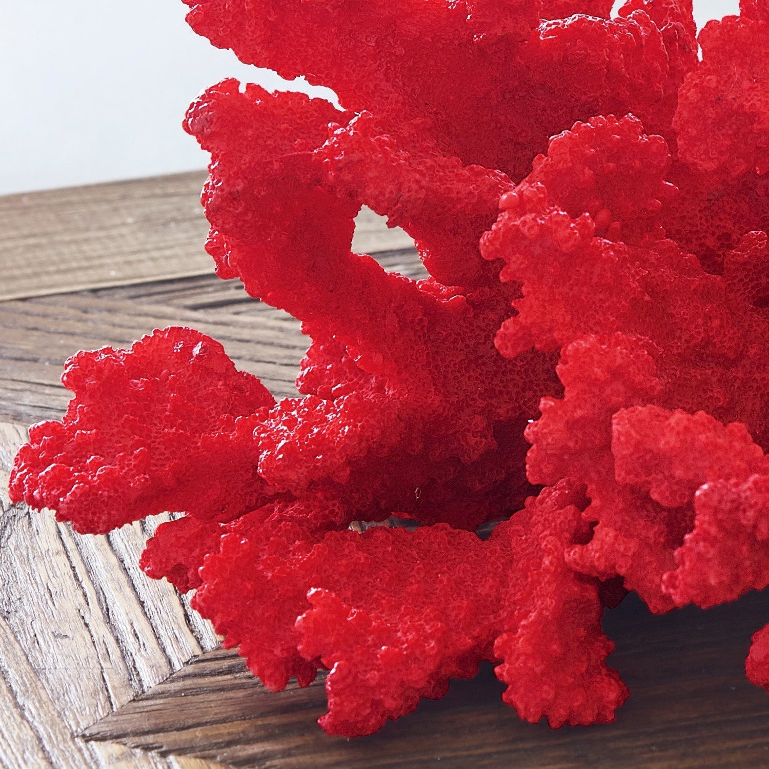 Coral decorativo Reddish