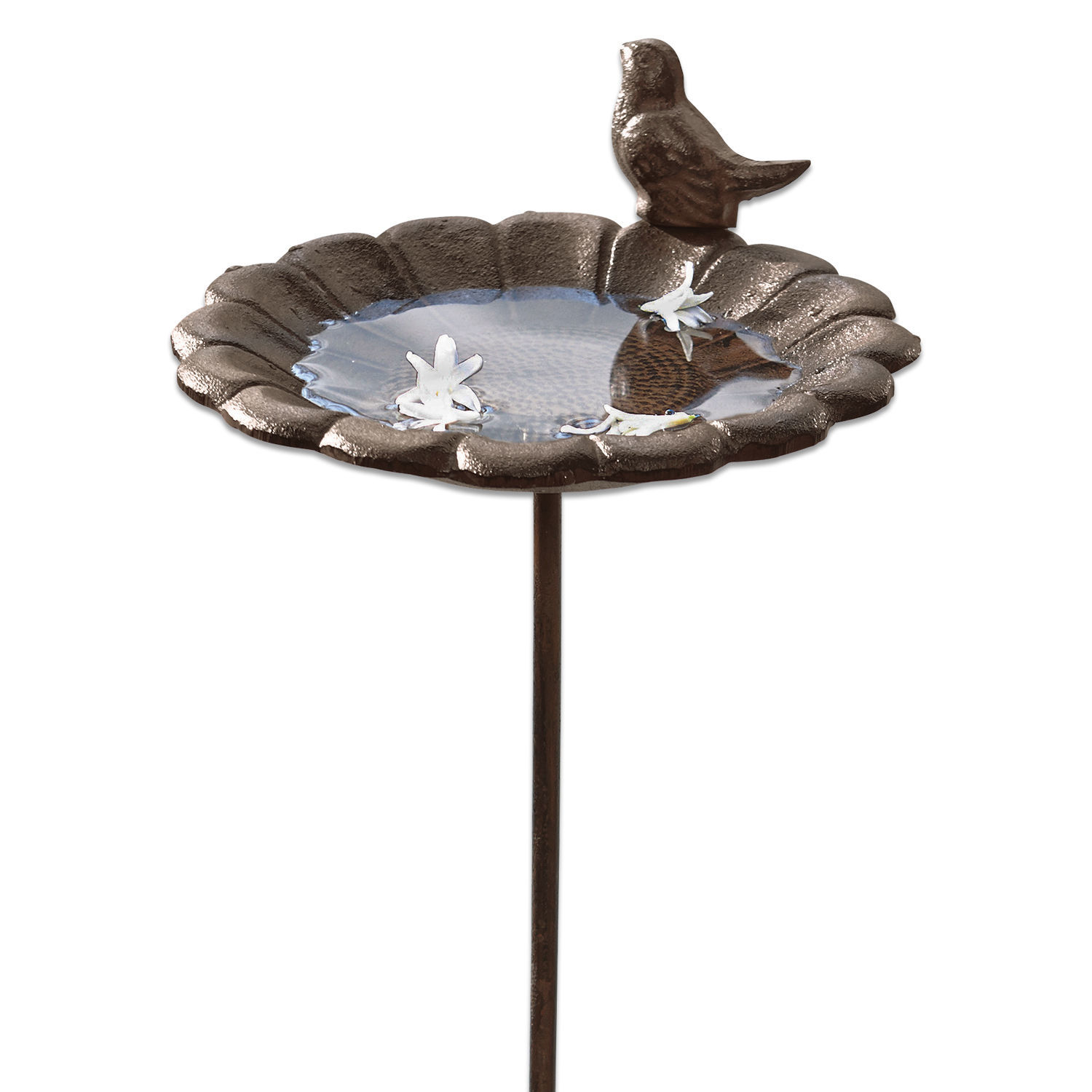 Bebedero para pájaros Finch Bebedero decorativo de metal marrón con diseño de pájaro y cuenco para agua para jardín