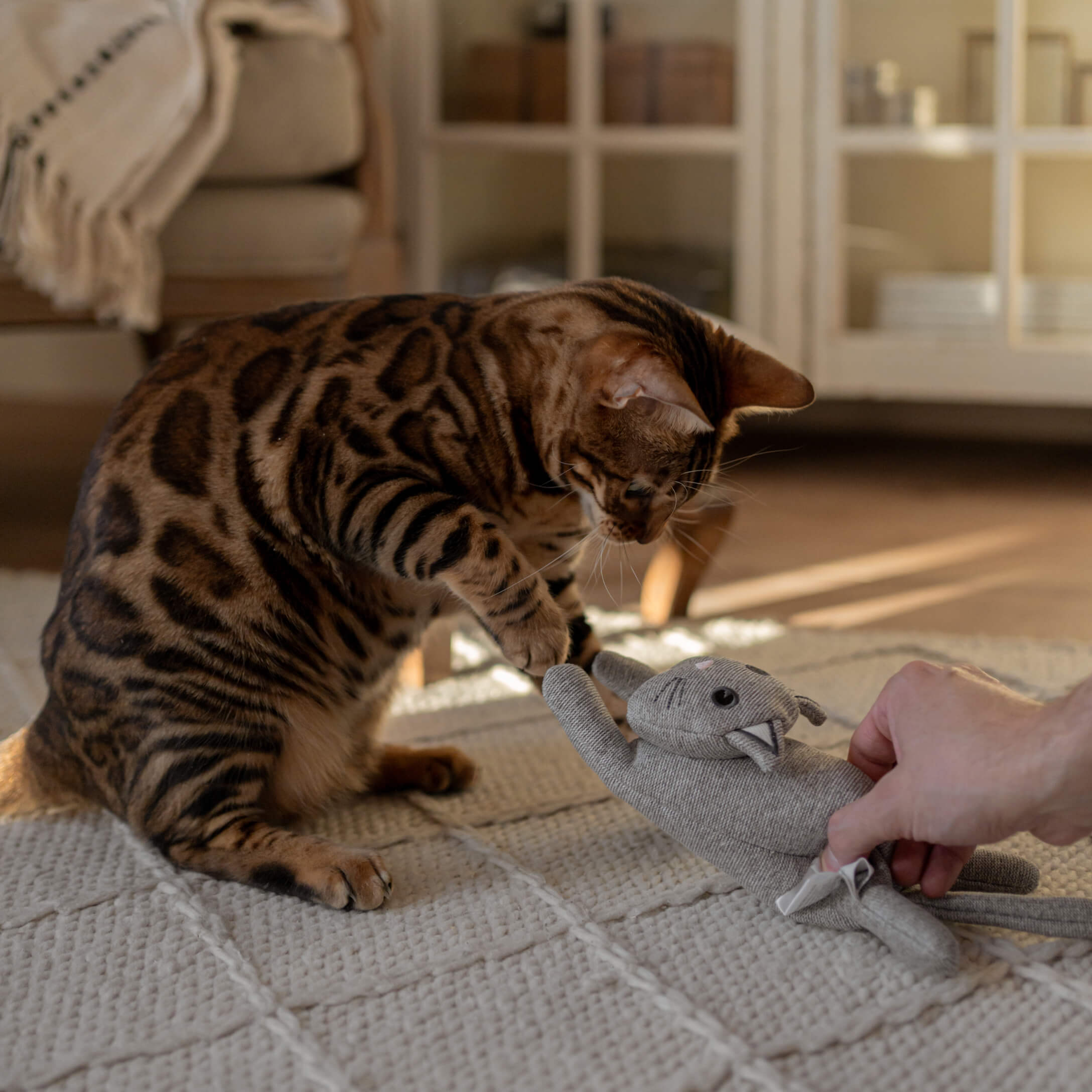 Gato bengalí marrón jugando con un peluche gris sobre una alfombra clara en una sala luminosa