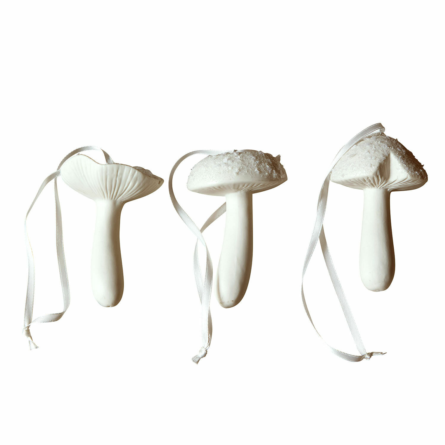 Set de 3 setas decorativas Qilexor