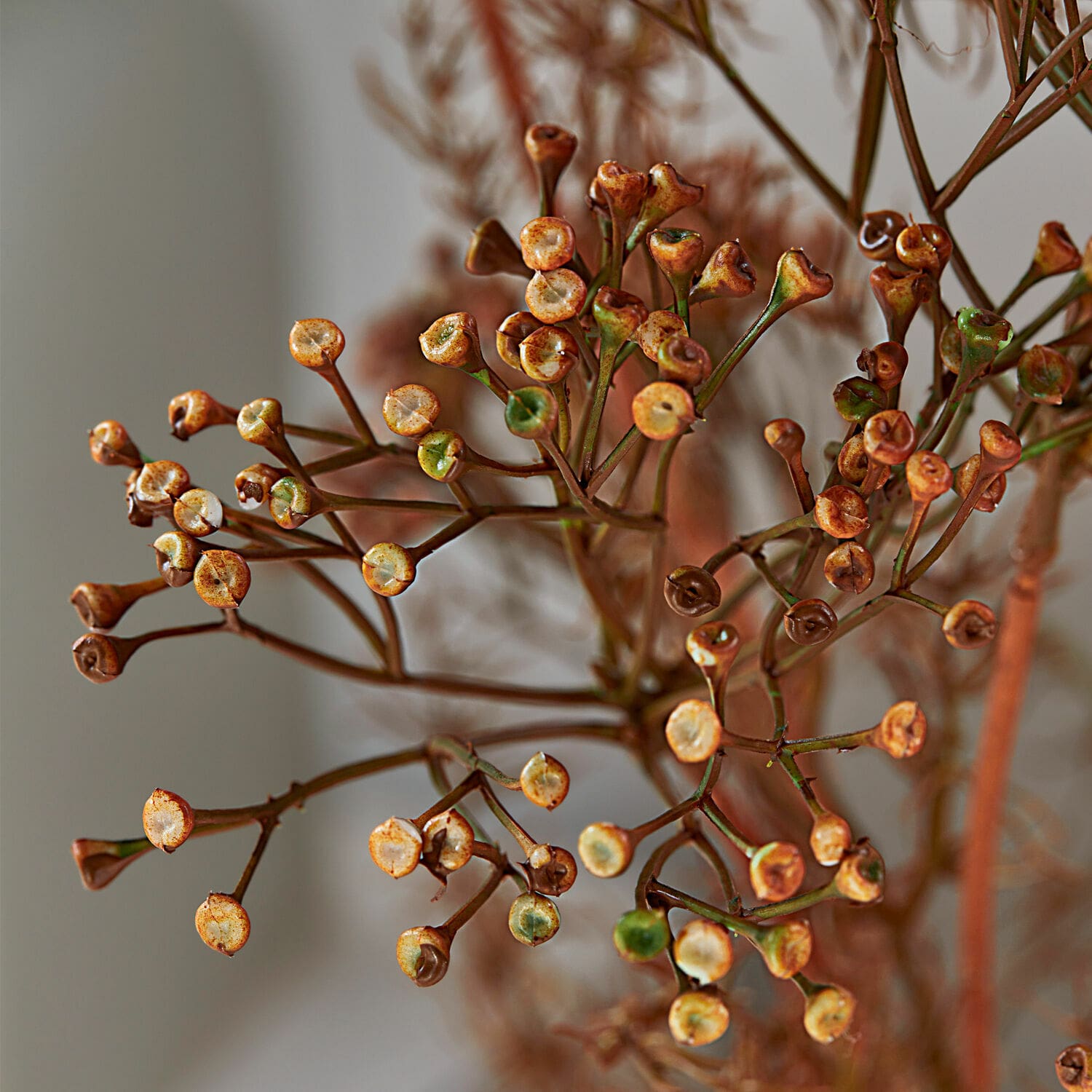 Set de 4 flores decorativas Jennings